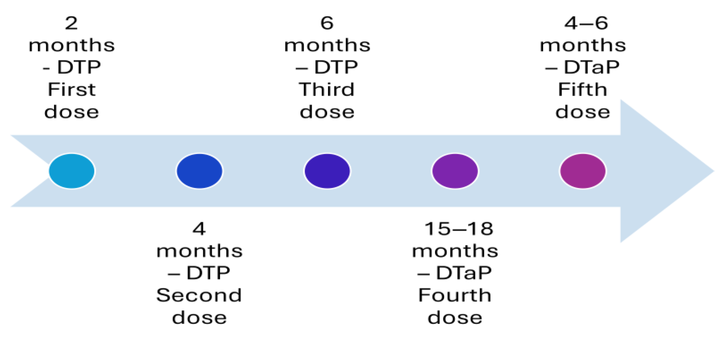 Vaccines 13 00841 g001
