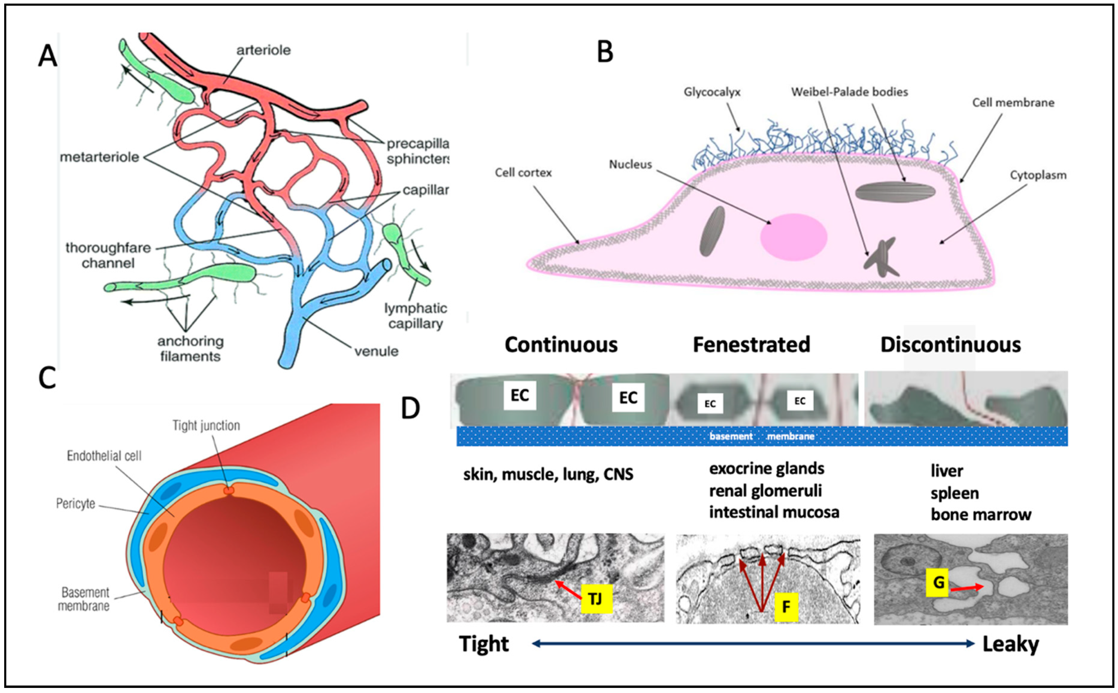 Vaccines 13 00855 g001 Vaccines 13 00855 g001