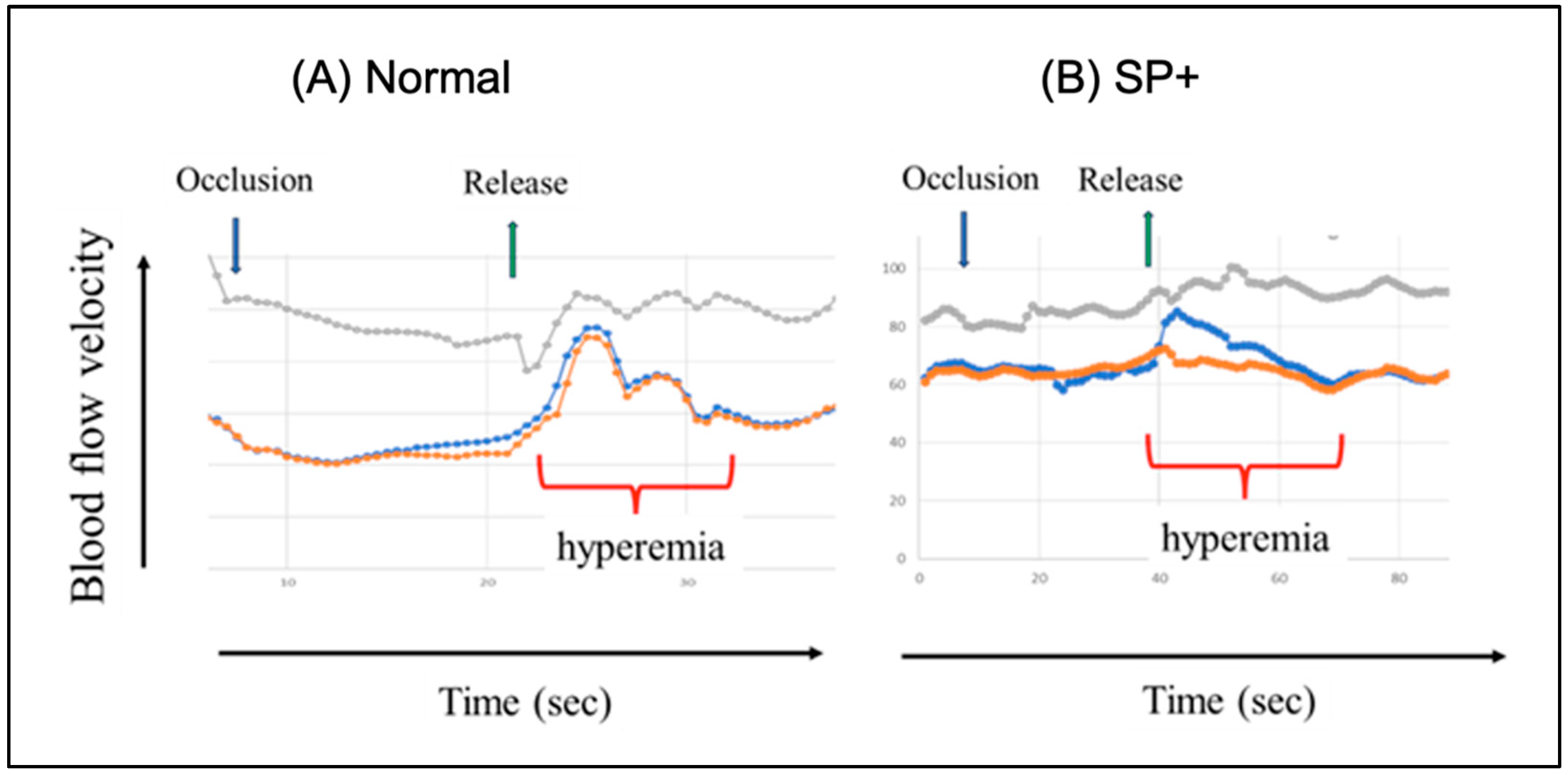 Vaccines 13 00855 g005 Vaccines 13 00855 g005