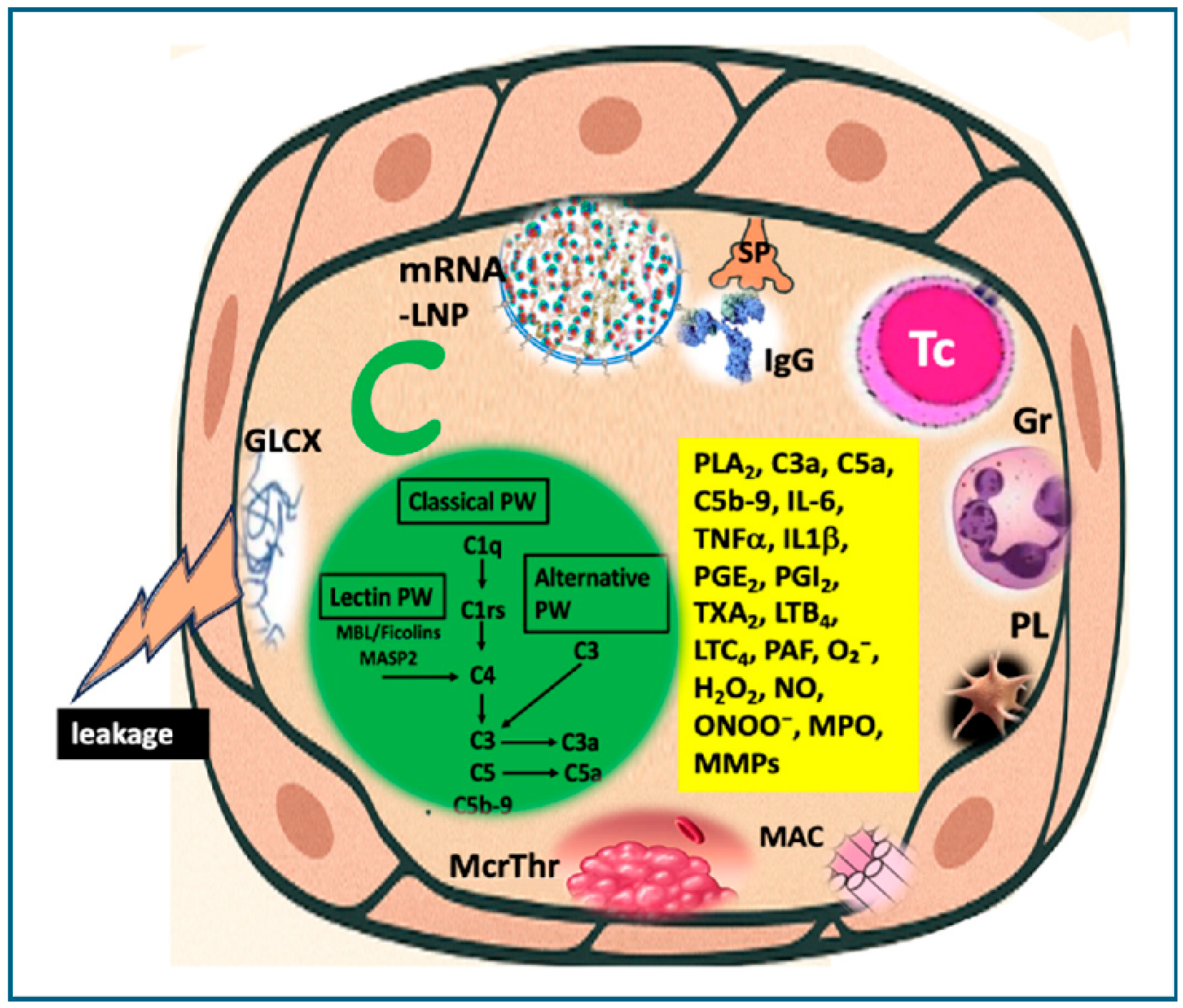 Vaccines 13 00855 g006 Vaccines 13 00855 g006
