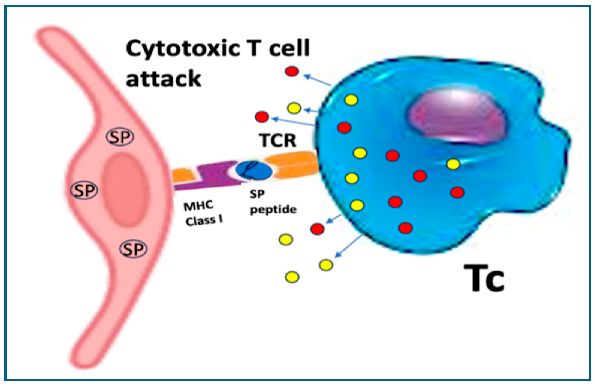 Vaccines 13 00855 g007 Vaccines 13 00855 g007