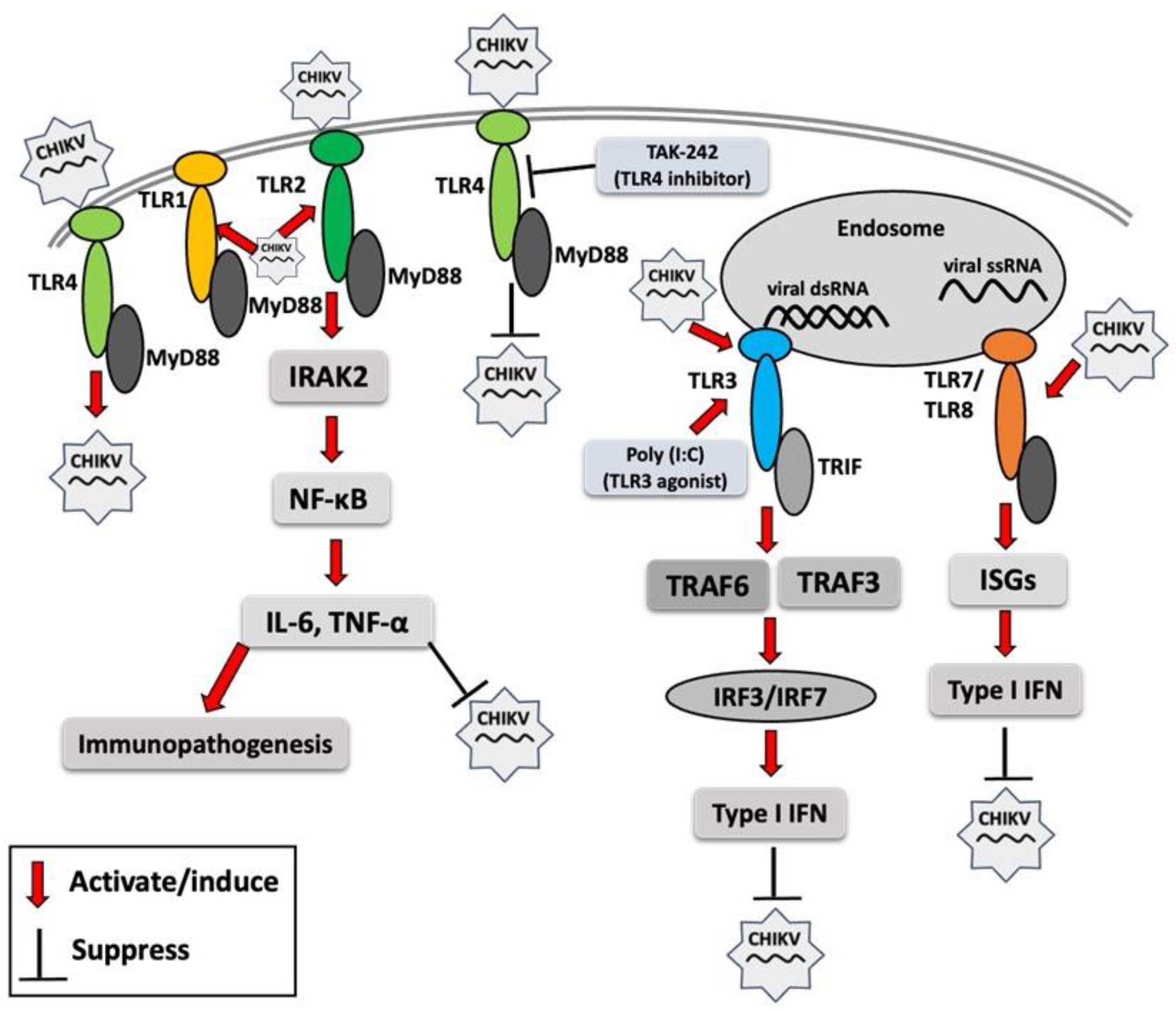 Vaccines 13 00856 g001