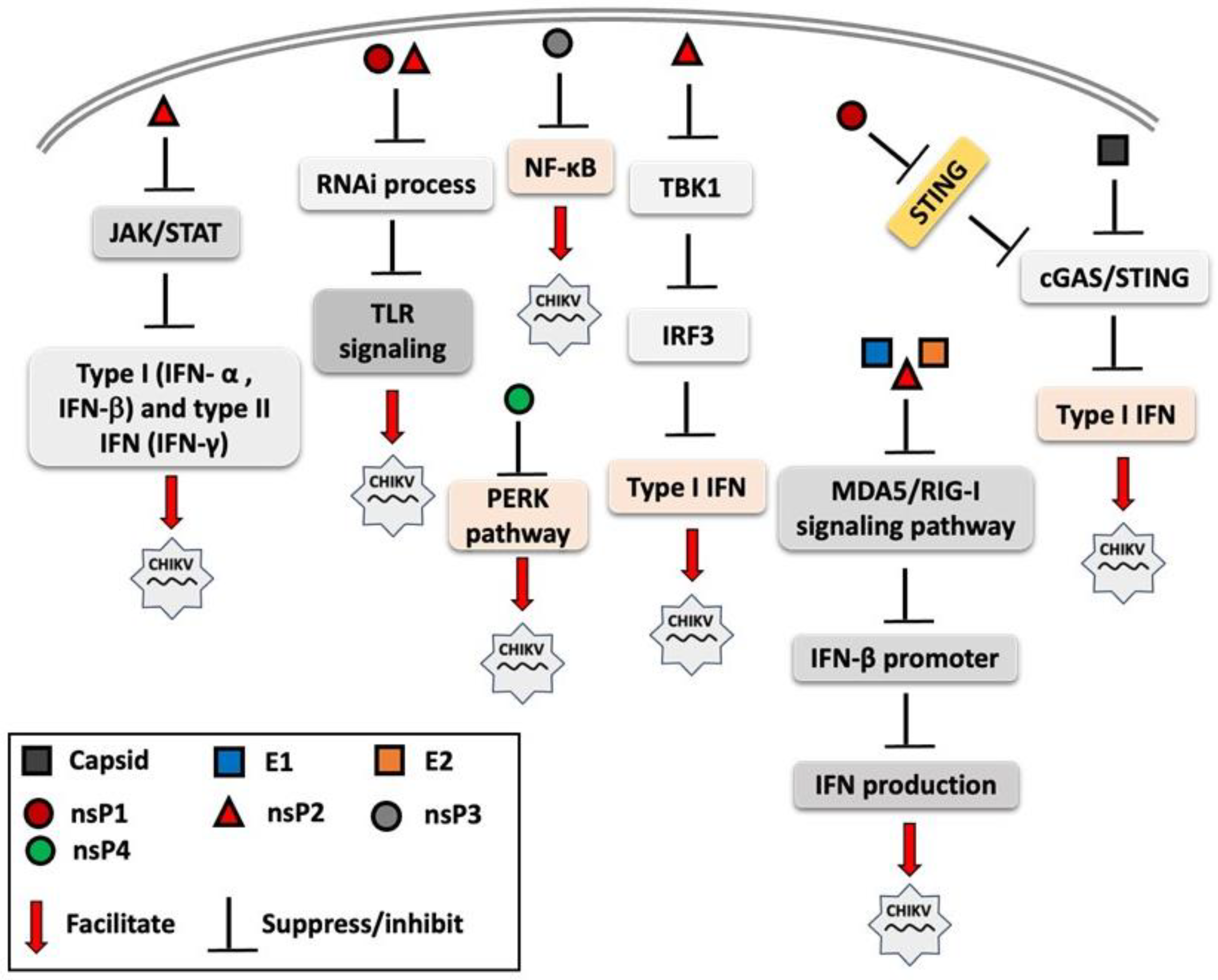 Vaccines 13 00856 g002