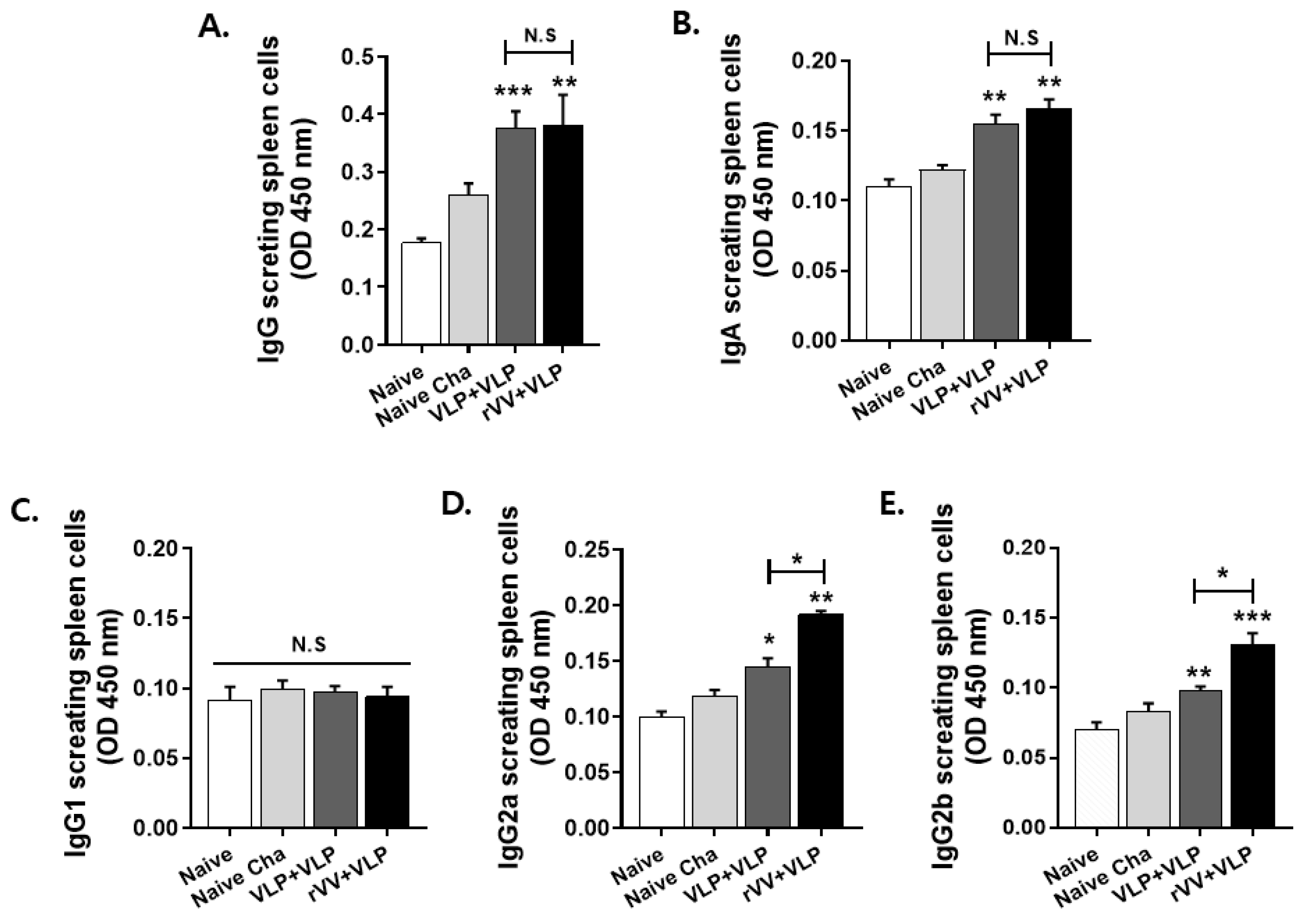 Vaccines 13 00862 g004 Vaccines 13 00862 g004