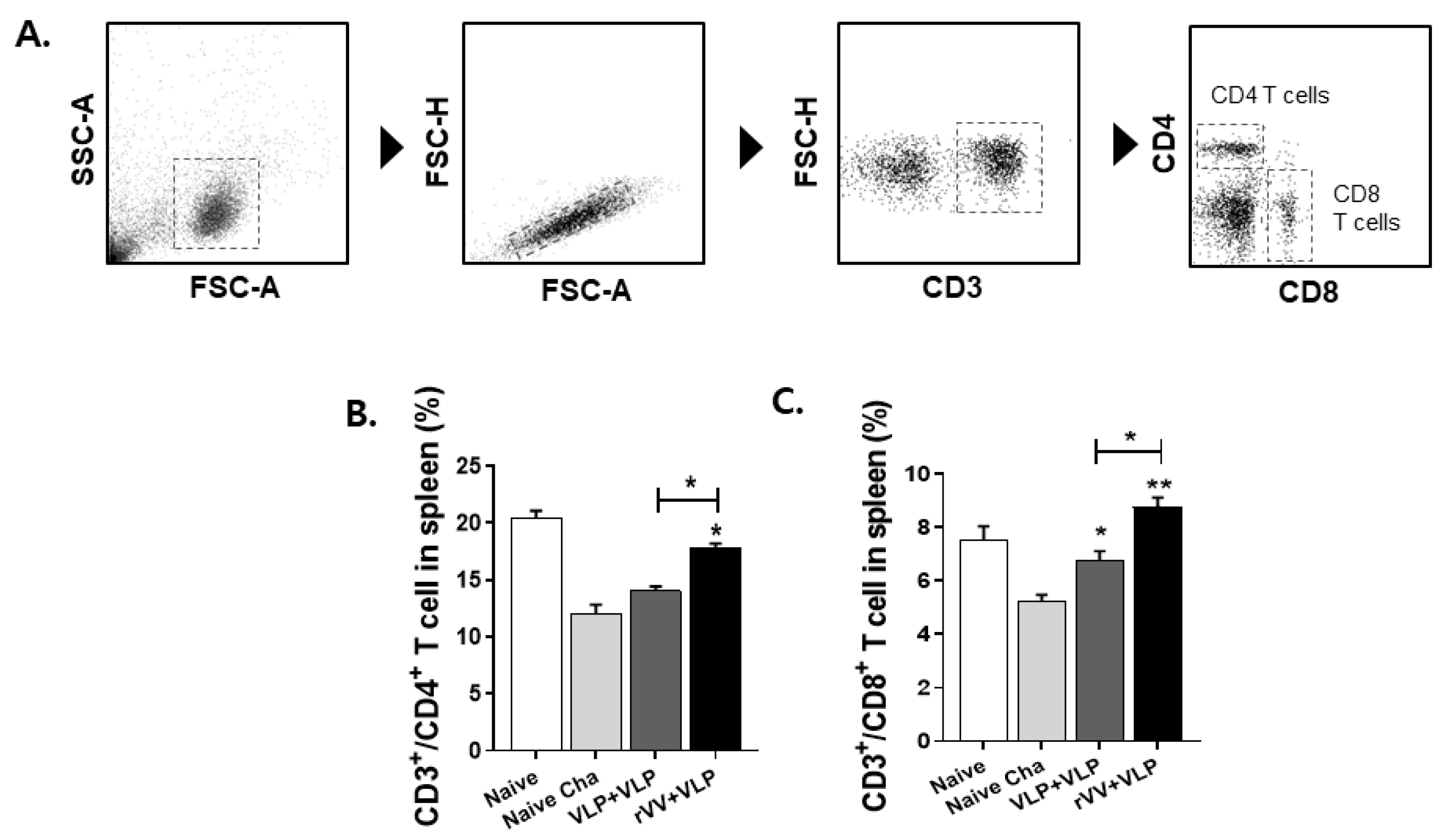Vaccines 13 00862 g005 Vaccines 13 00862 g005