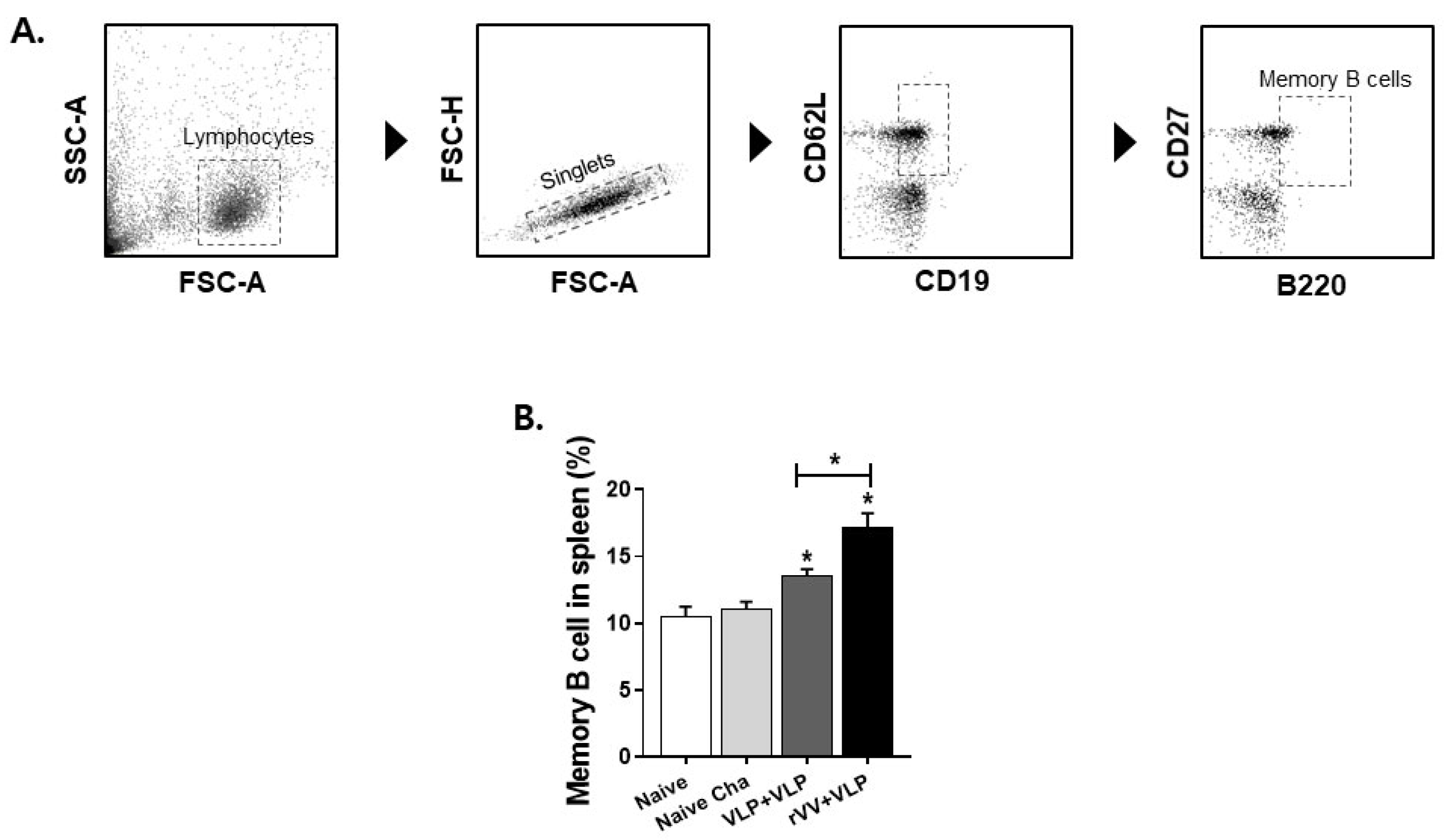 Vaccines 13 00862 g006 Vaccines 13 00862 g006