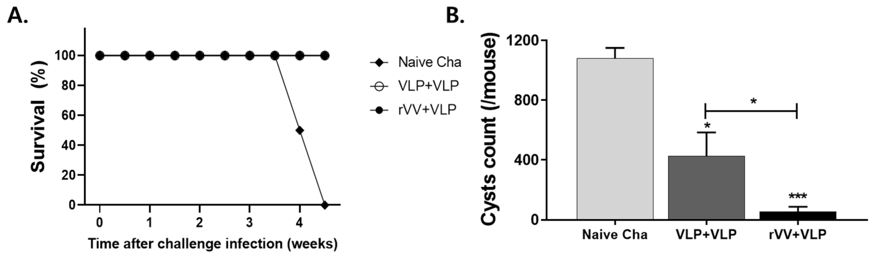 Vaccines 13 00862 g007 Vaccines 13 00862 g007