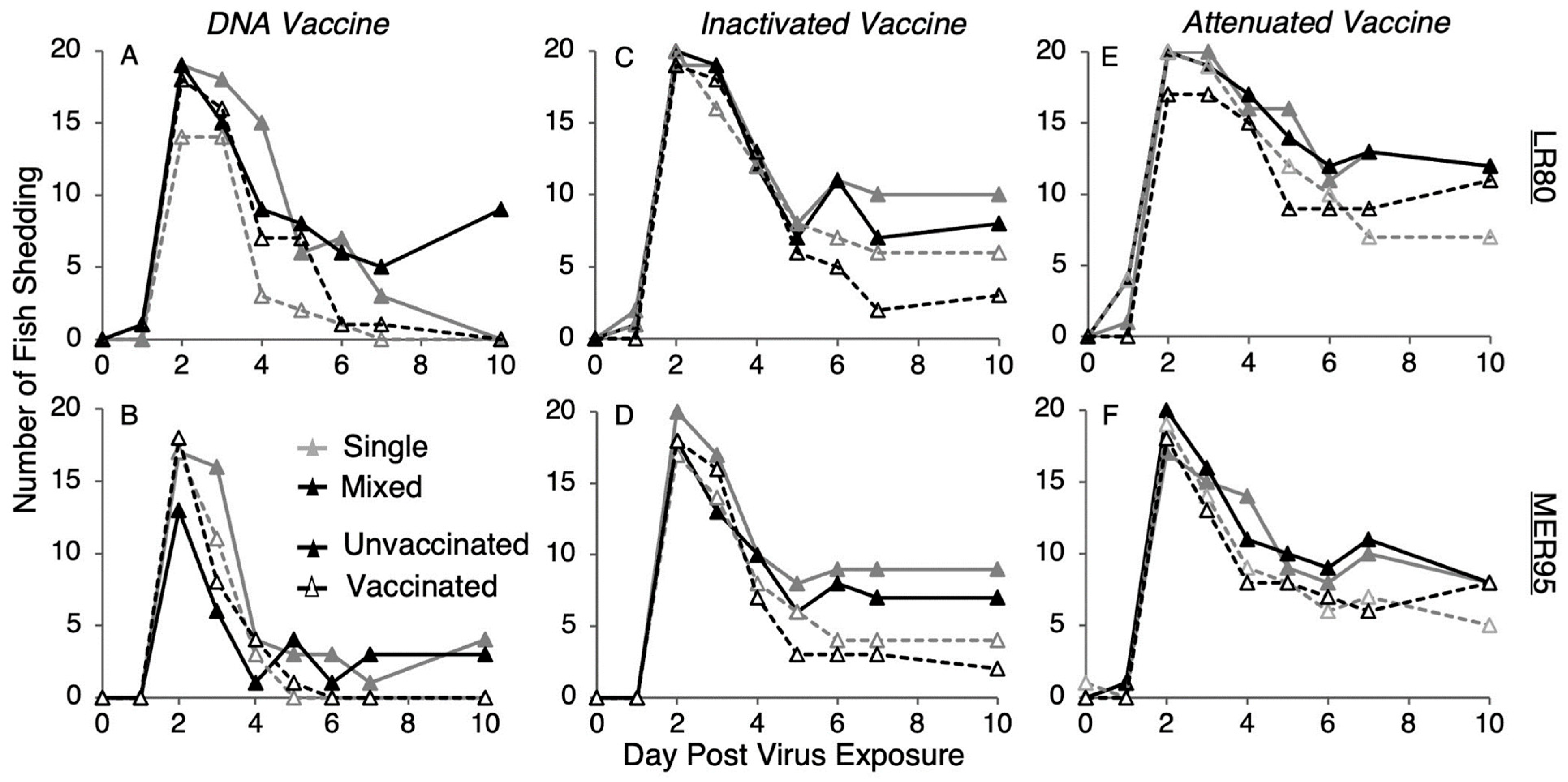 Vaccines 13 00864 g003
