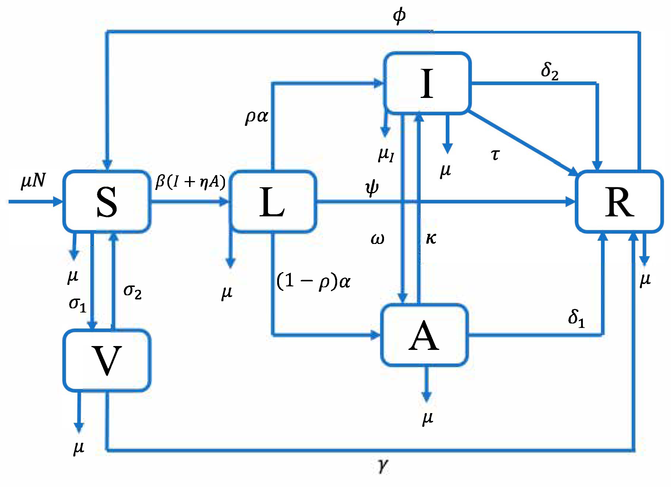 Vaccines 13 00868 g001