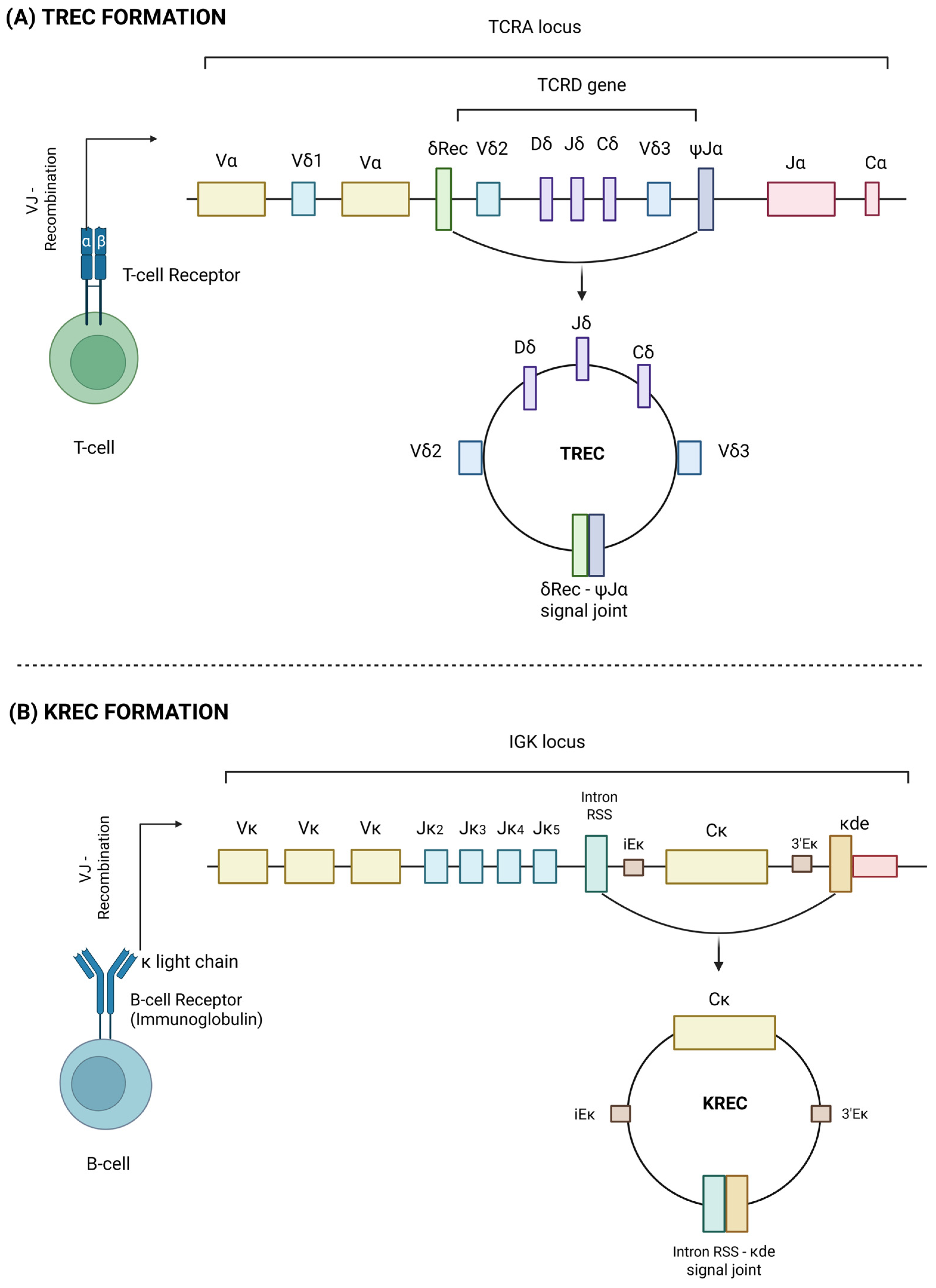 Vaccines 13 00874 g001