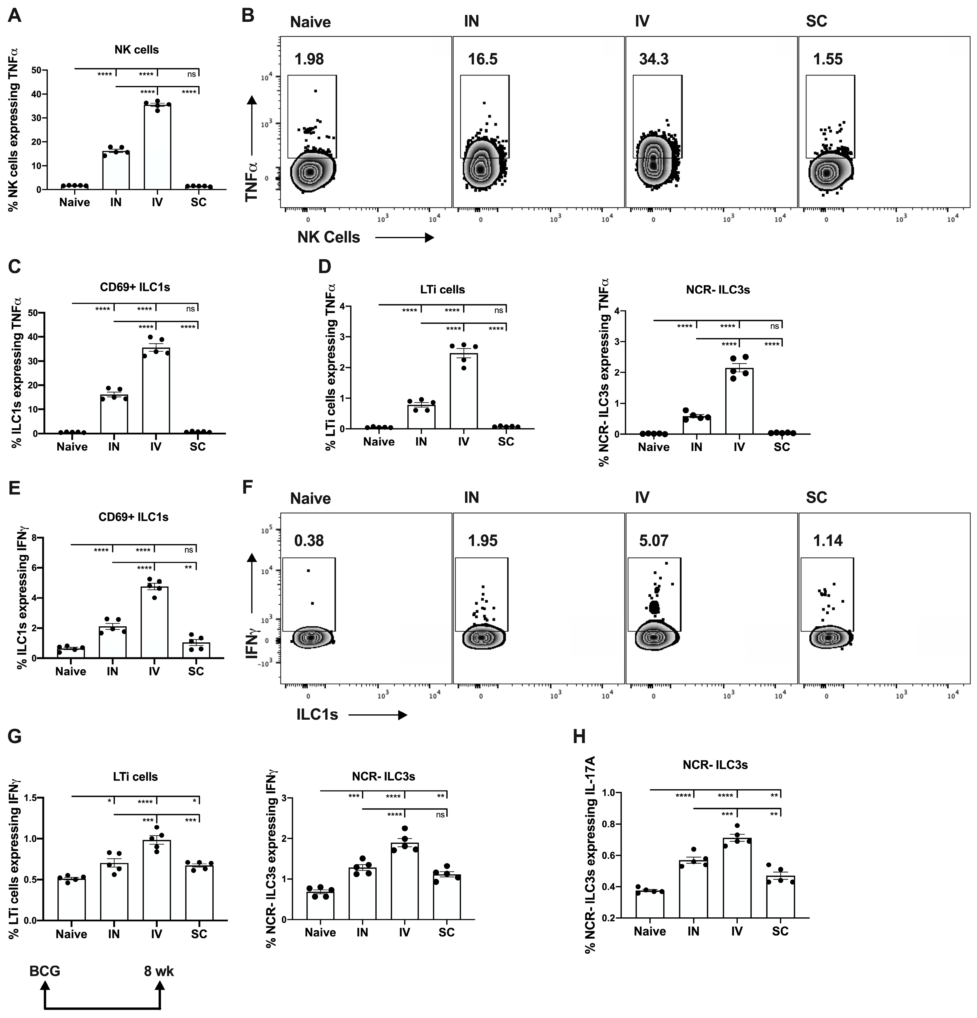 Vaccines 13 00876 g001