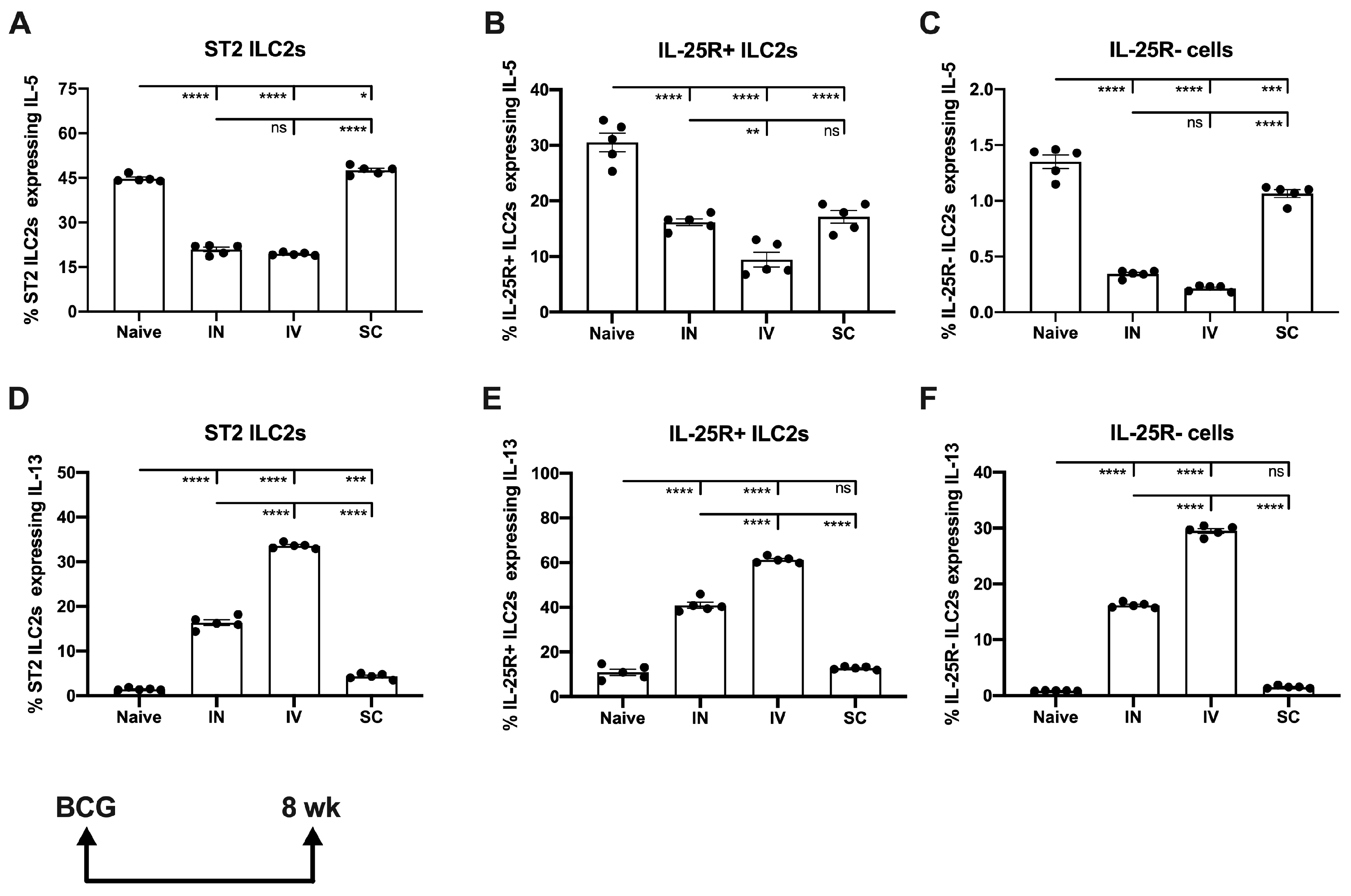 Vaccines 13 00876 g002