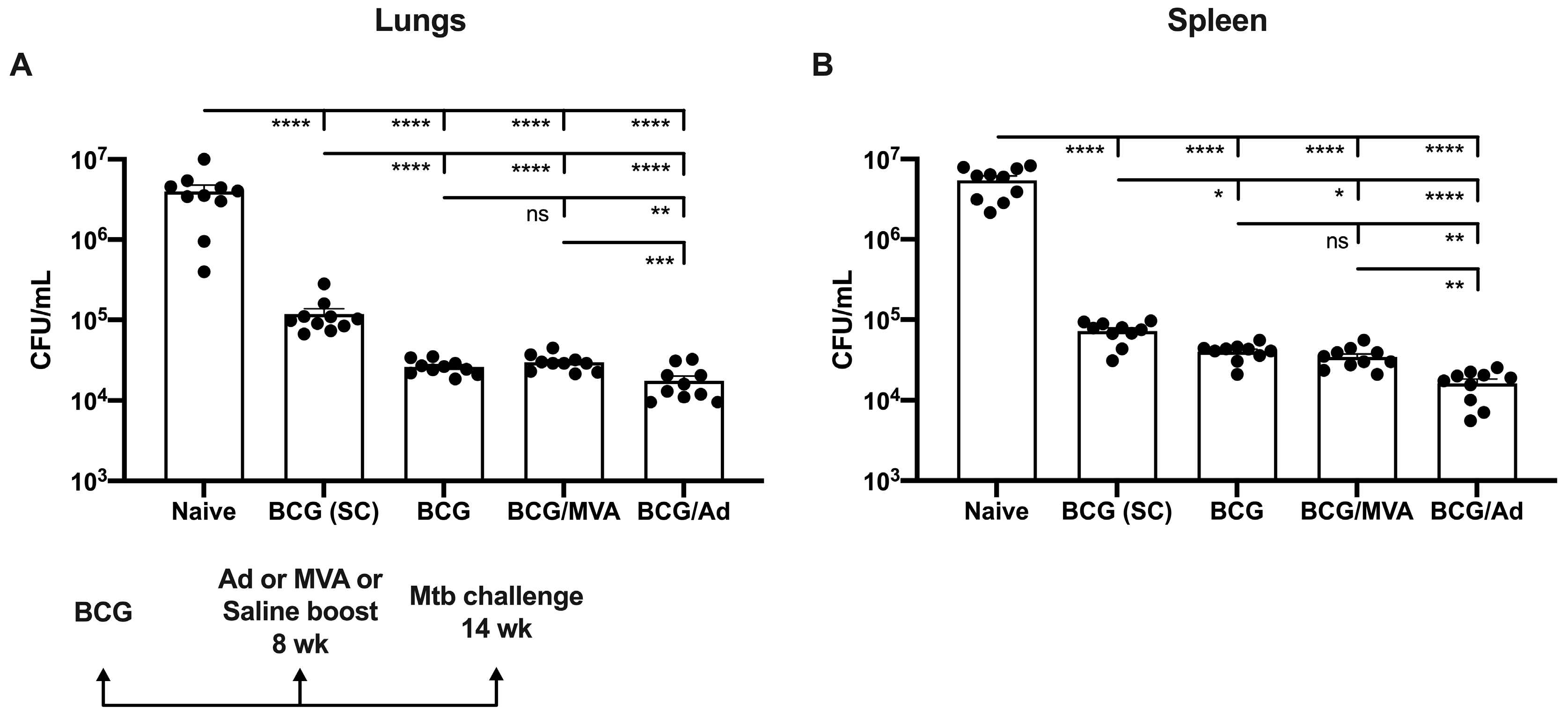 Vaccines 13 00876 g004