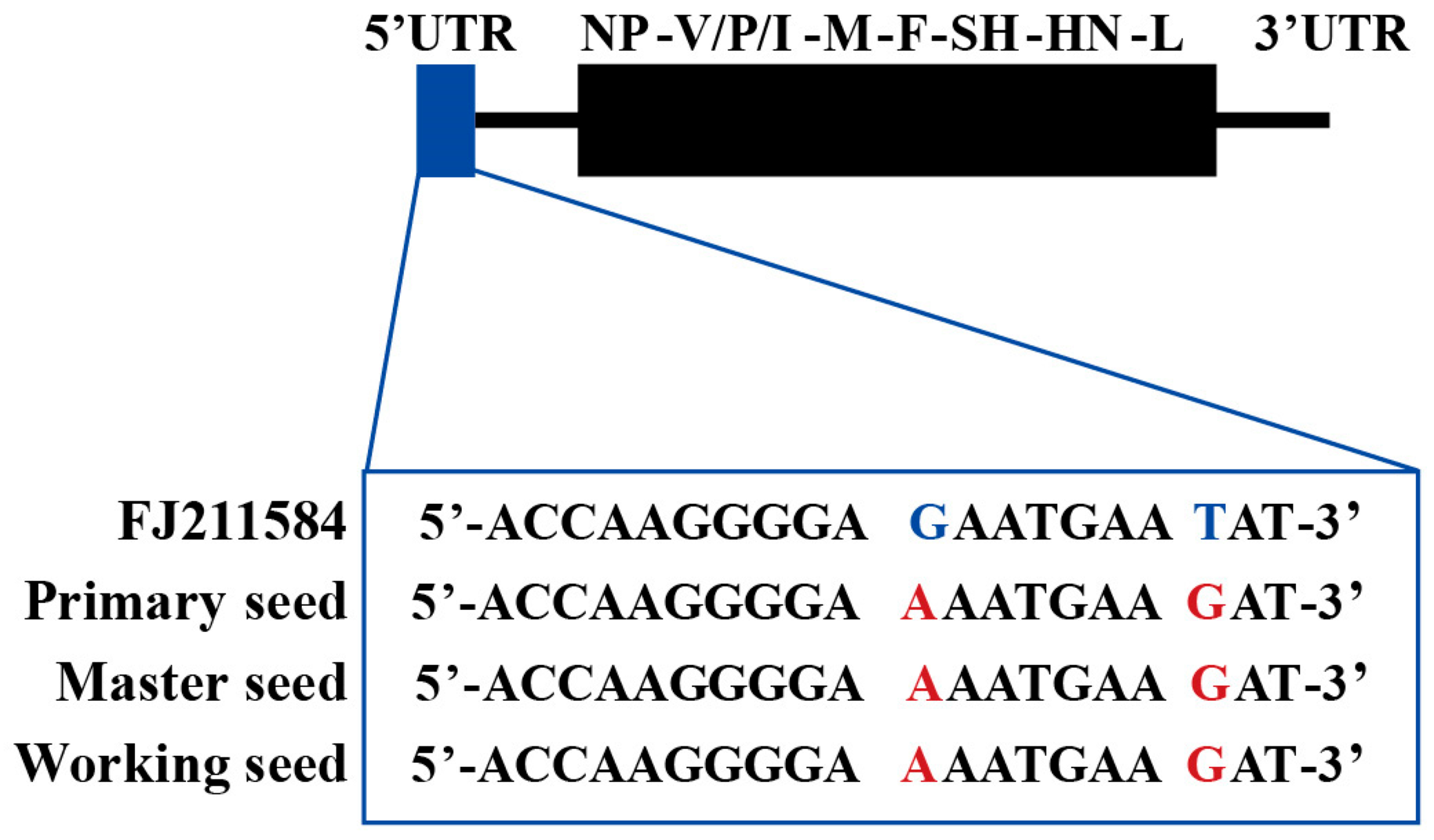 Vaccines 13 00879 g002