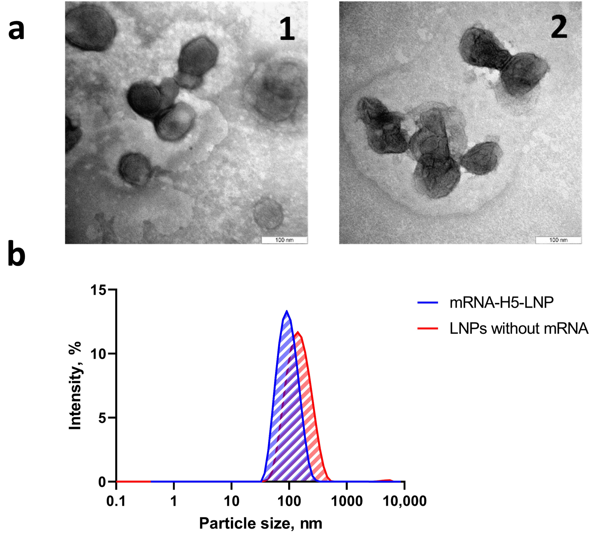 Vaccines 13 00883 g002