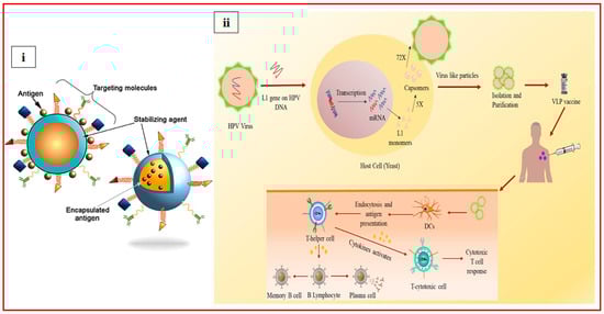 Vaccines 13 00890 g005