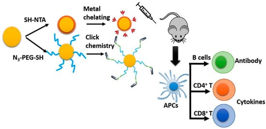 Vaccines 13 00890 g006