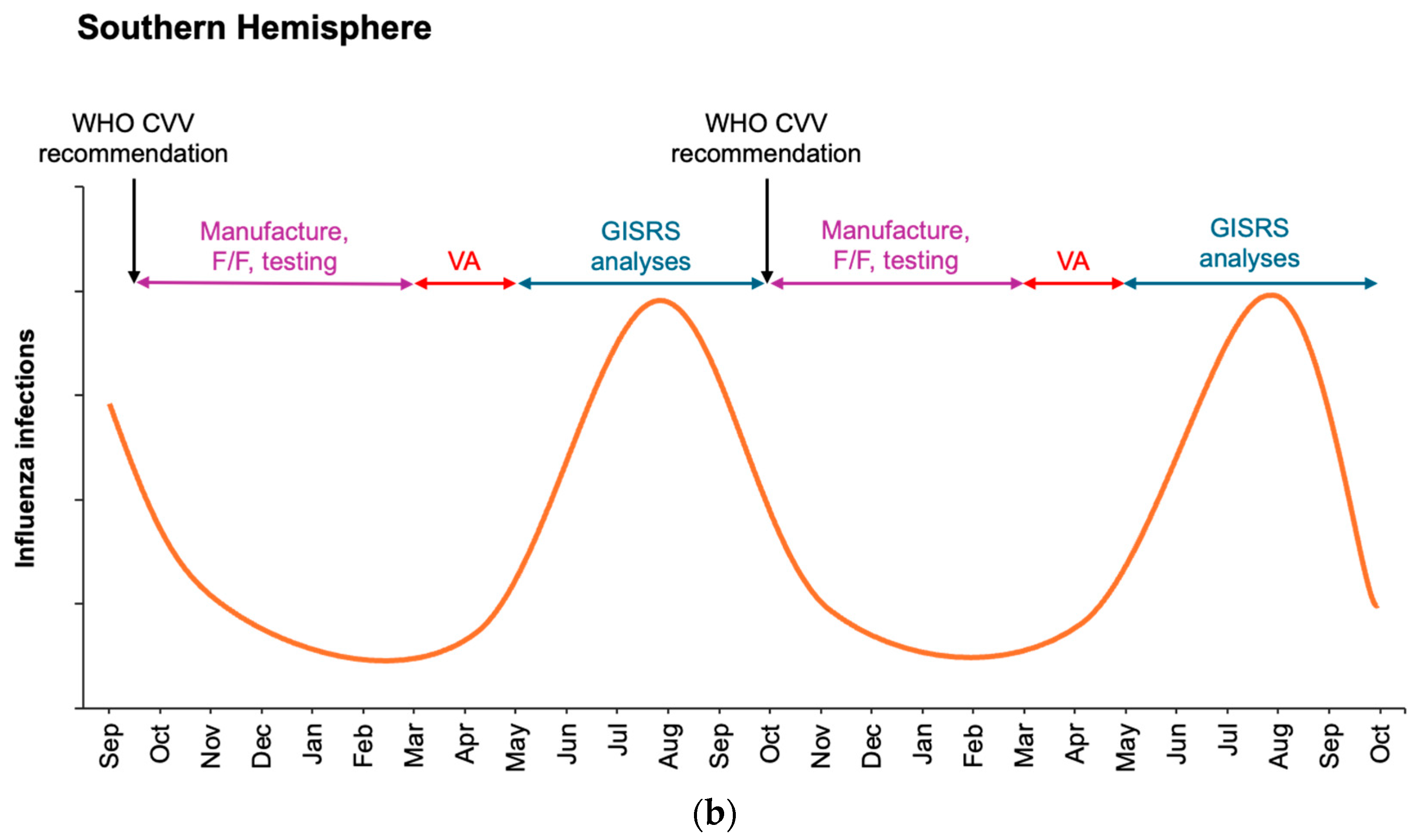 Vaccines 13 00891 g001b