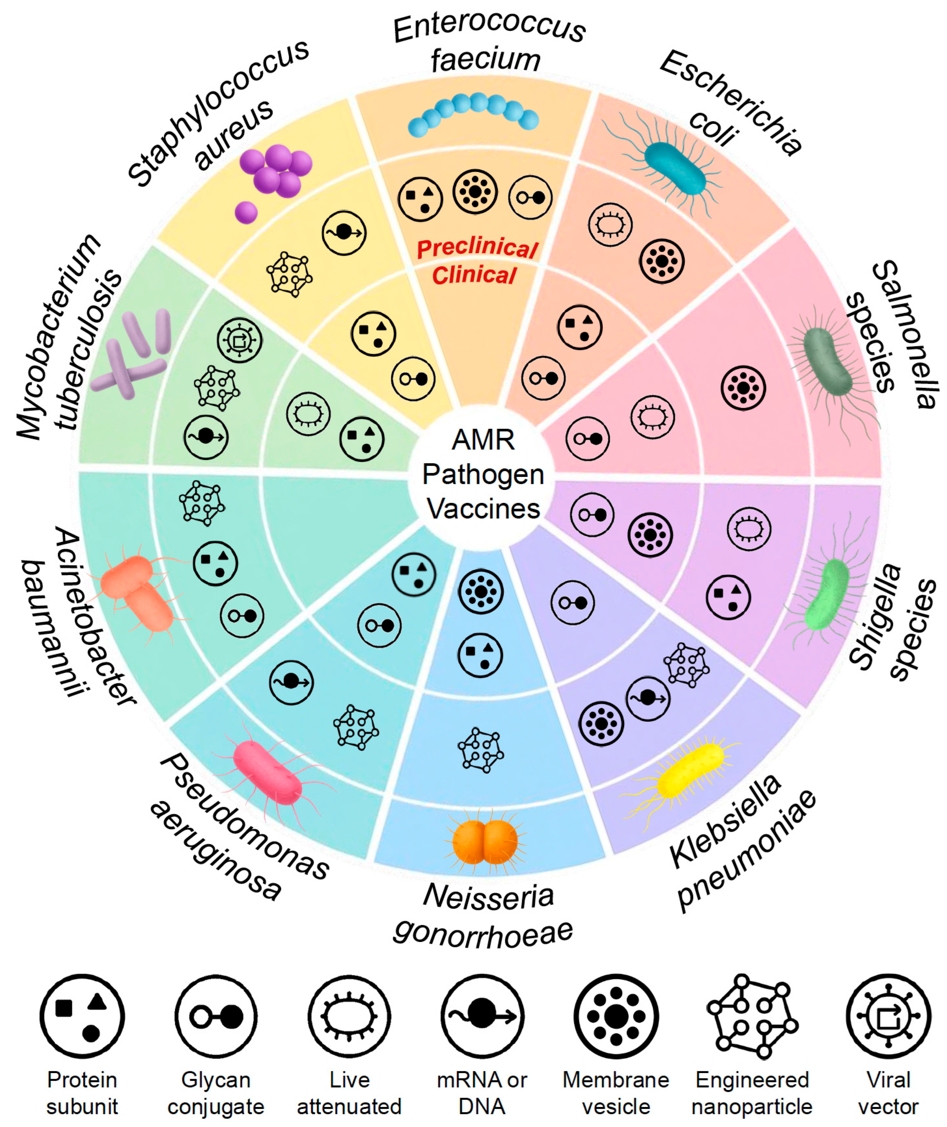 Vaccines 13 00893 g002