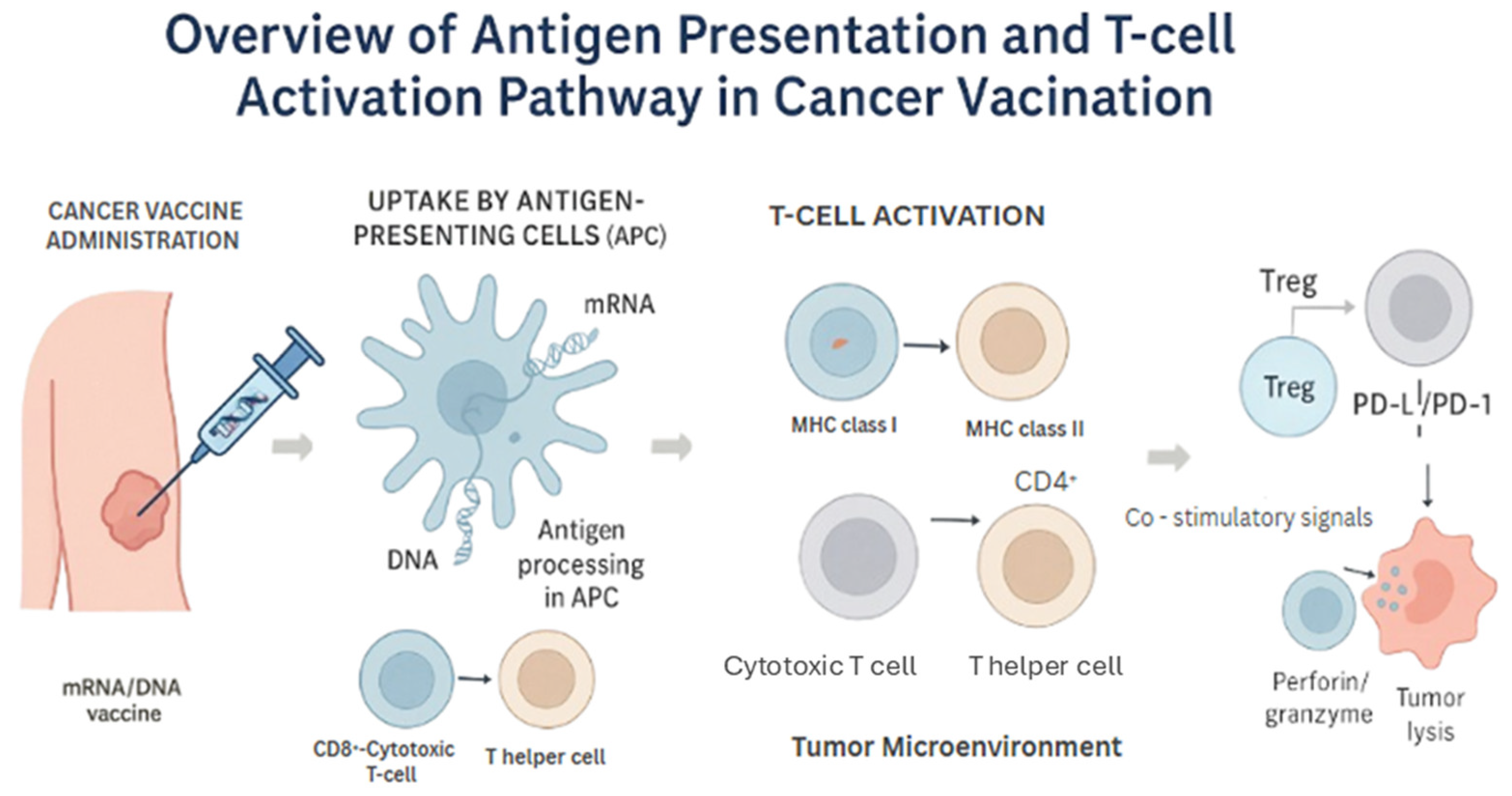 Vaccines 13 00899 g002