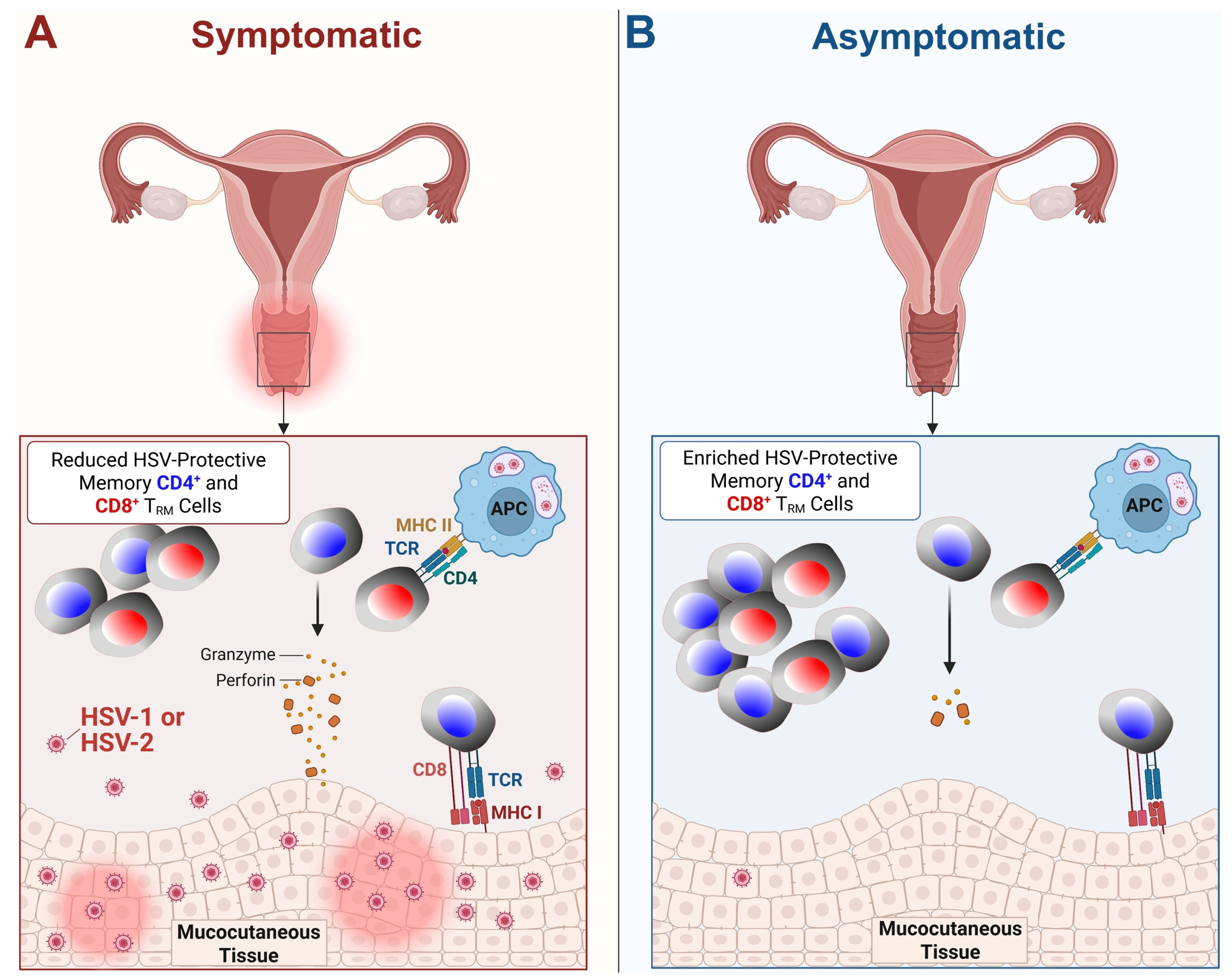 Vaccines 13 00908 g003