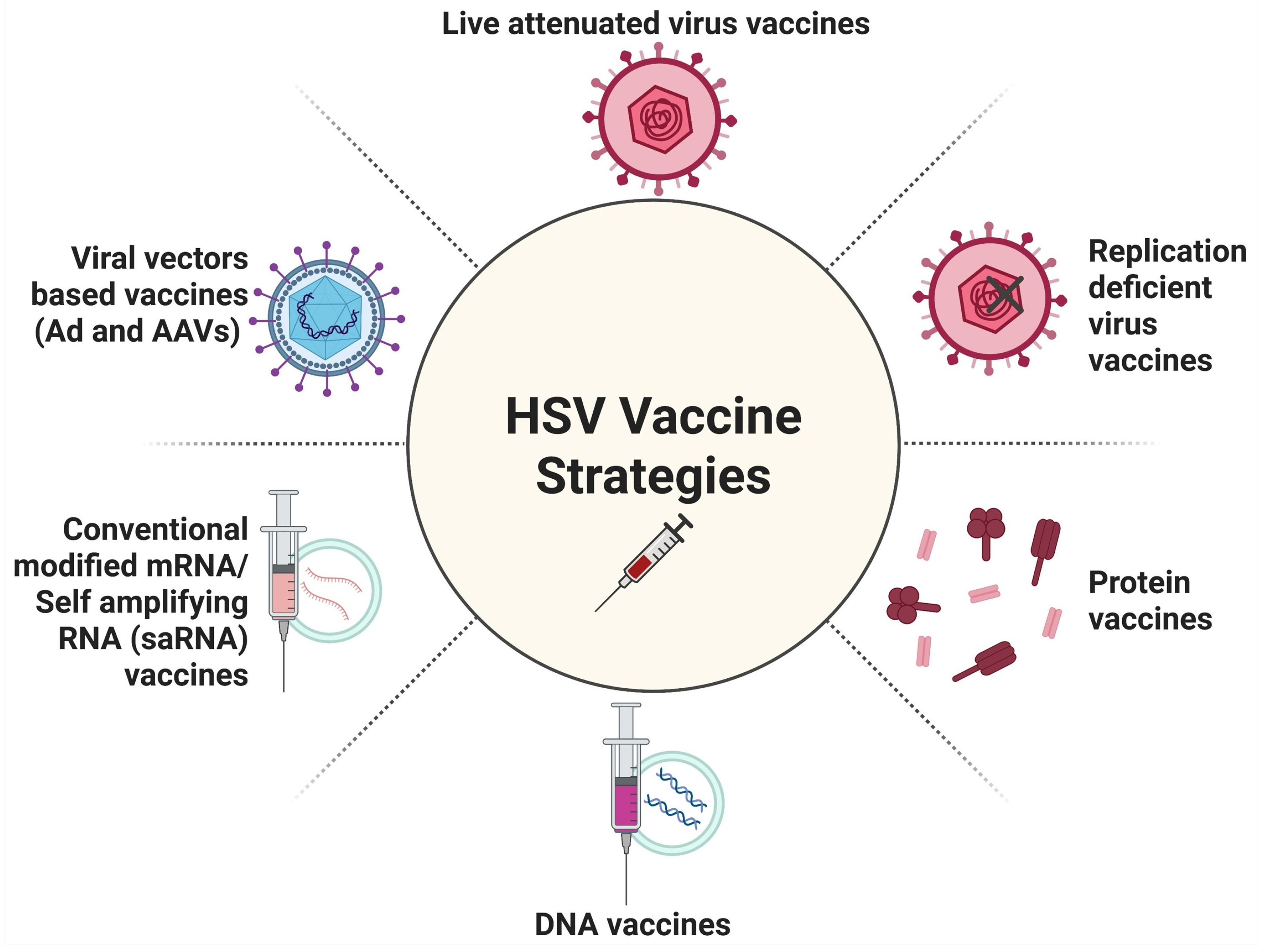 Vaccines 13 00908 g005