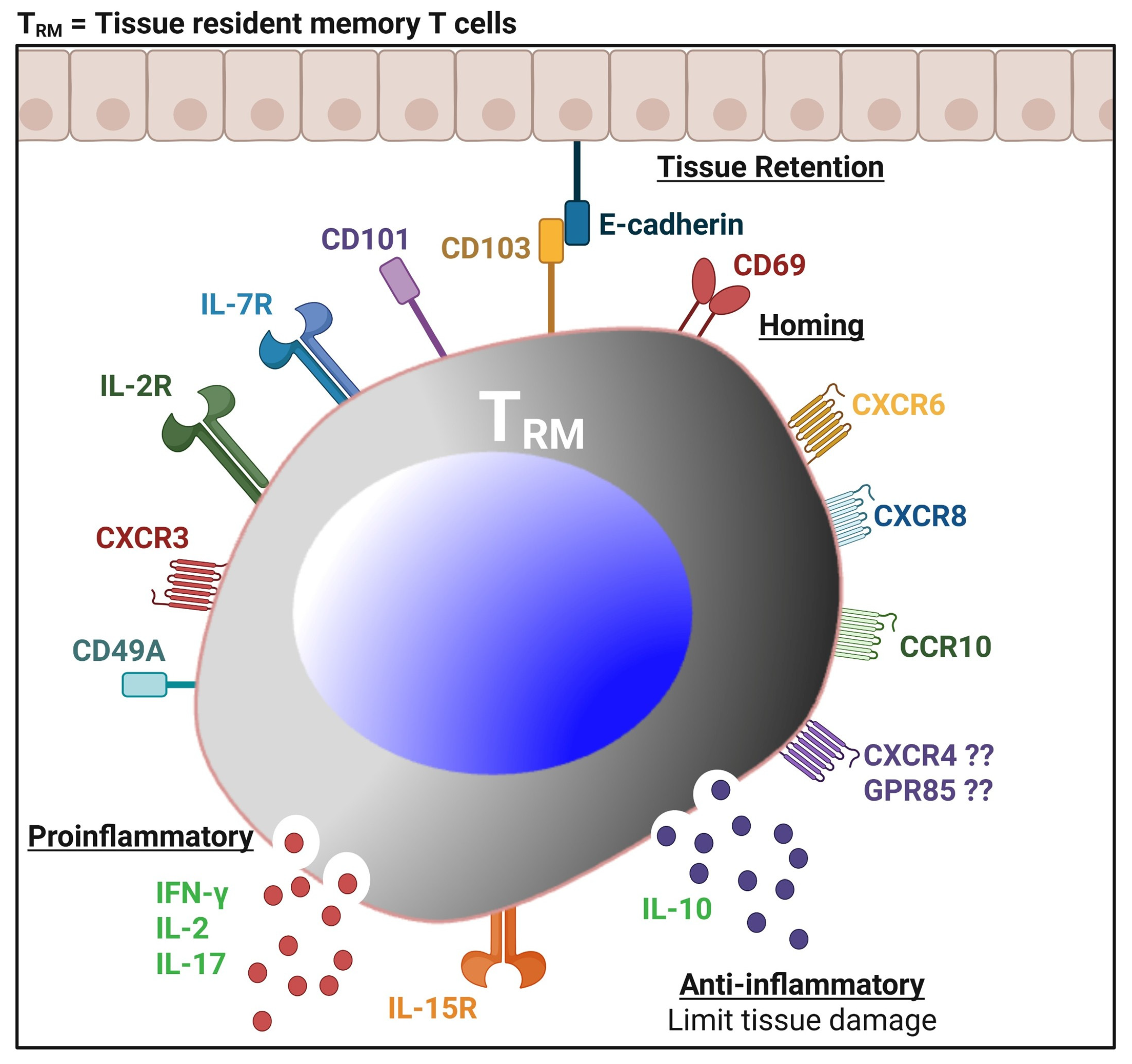 Vaccines 13 00908 g006