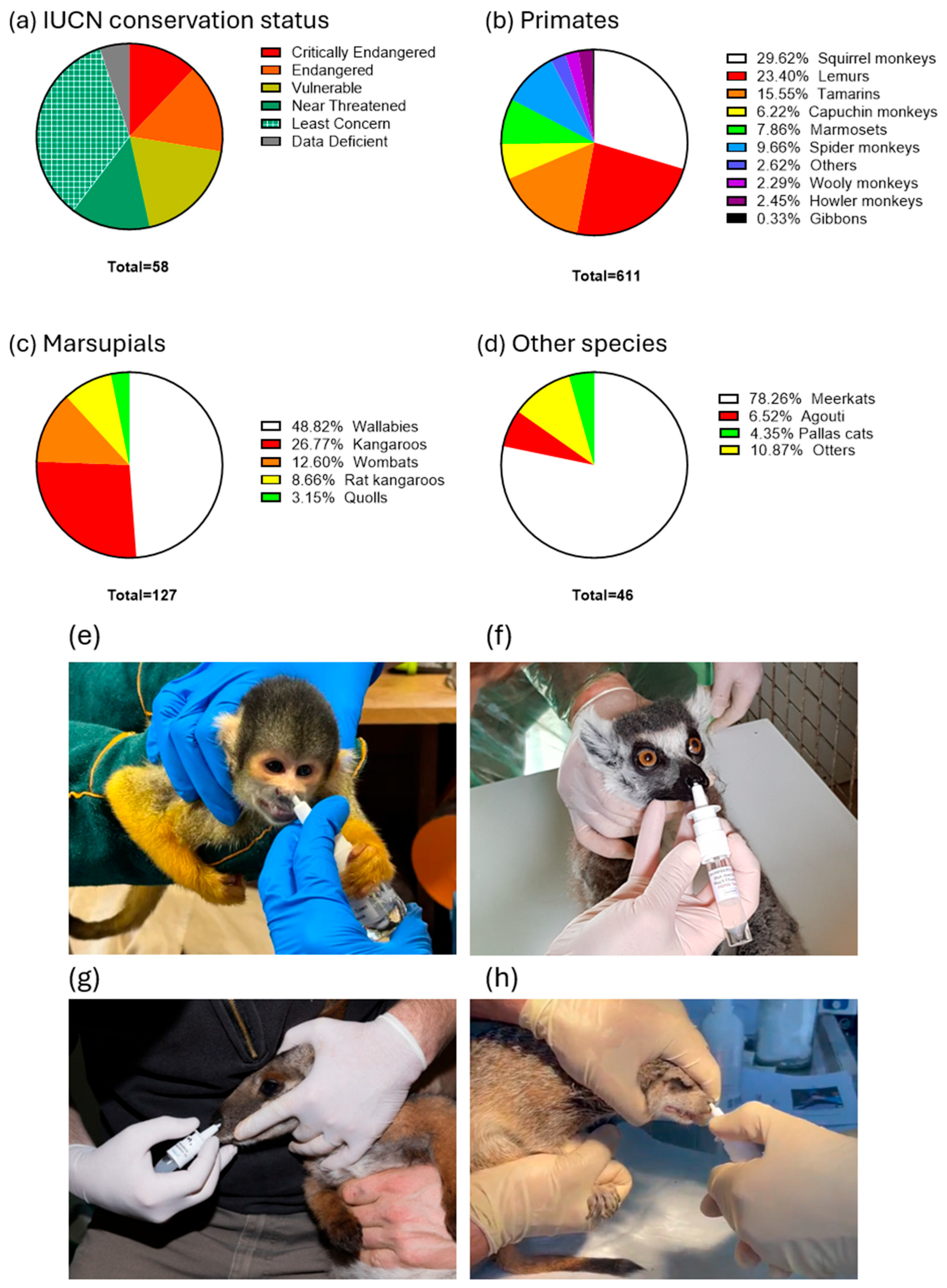 Vaccines 13 00910 g002