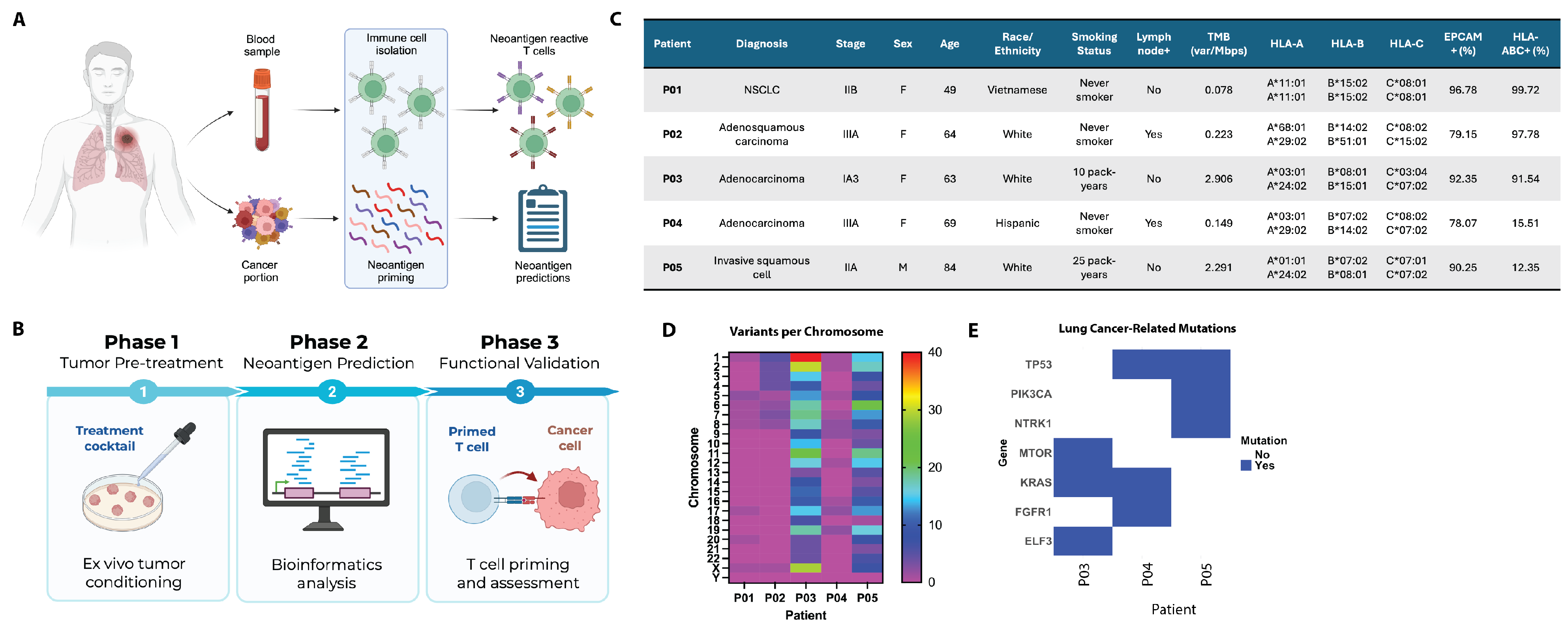 Vaccines 13 00921 g001