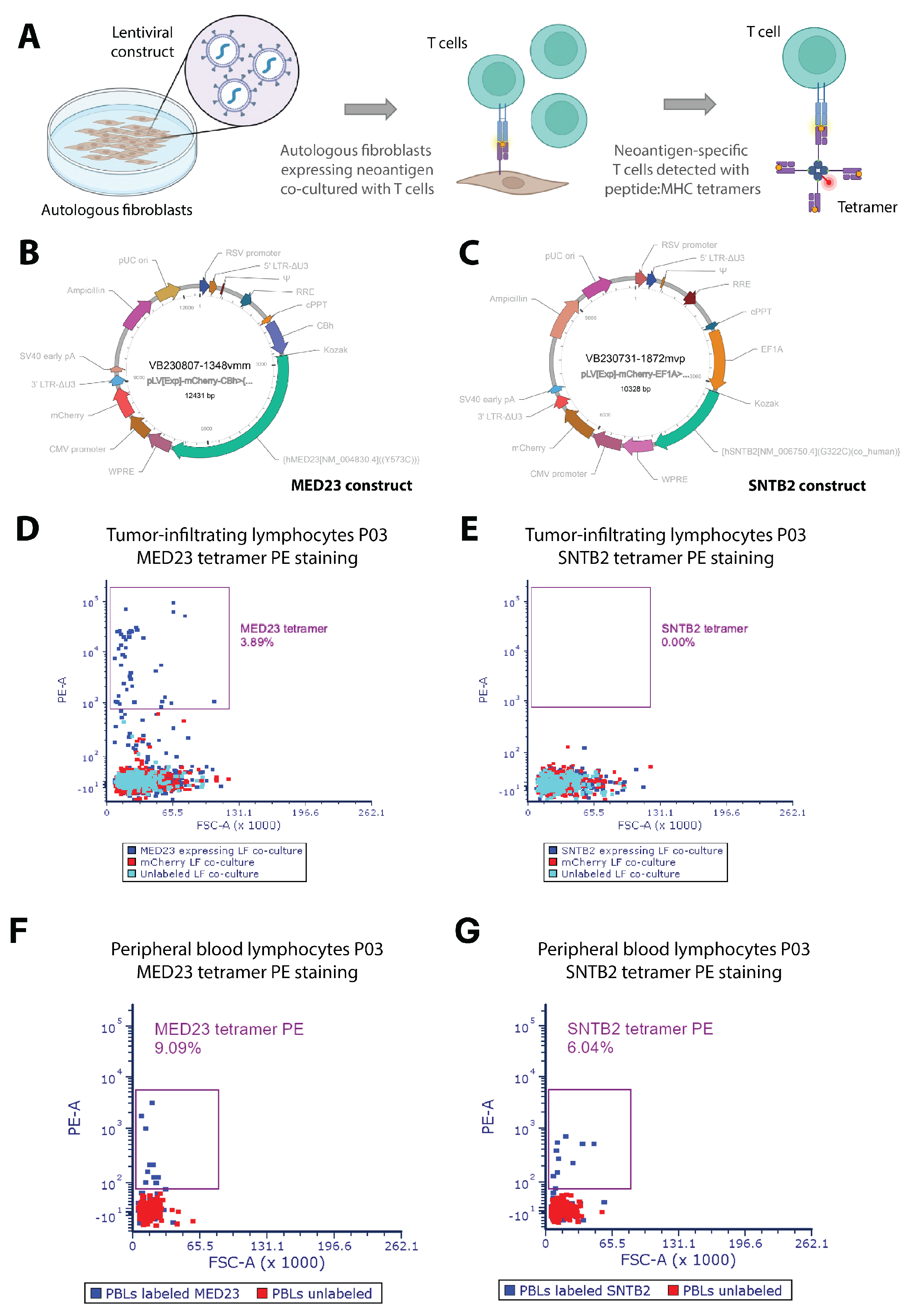 Vaccines 13 00921 g003