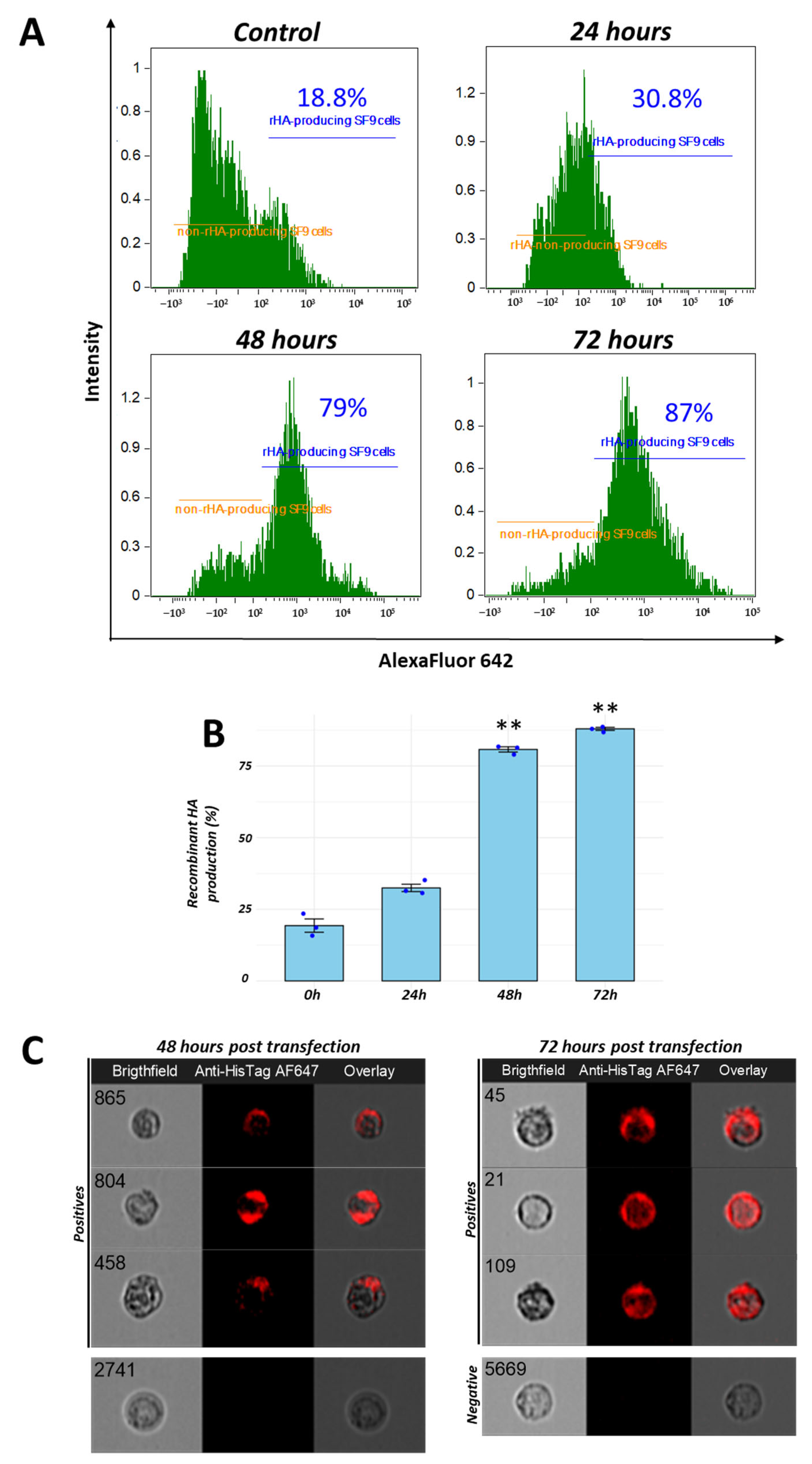 Vaccines 13 00926 g002 Vaccines 13 00926 g002