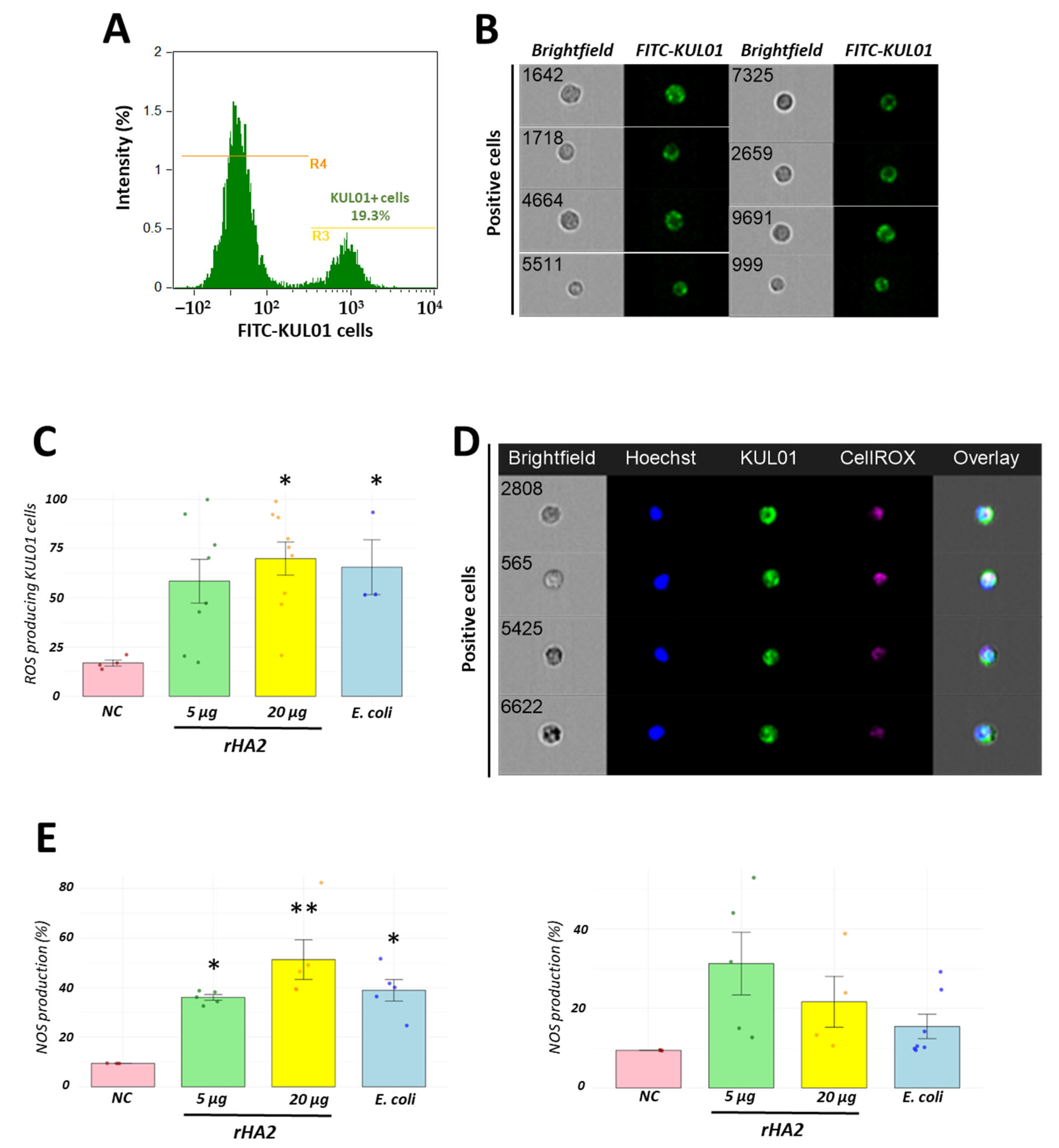 Vaccines 13 00926 g005 Vaccines 13 00926 g005