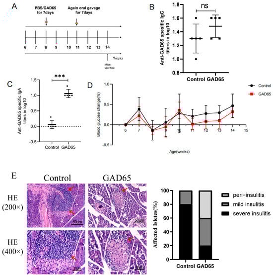Vaccines 13 00927 g001