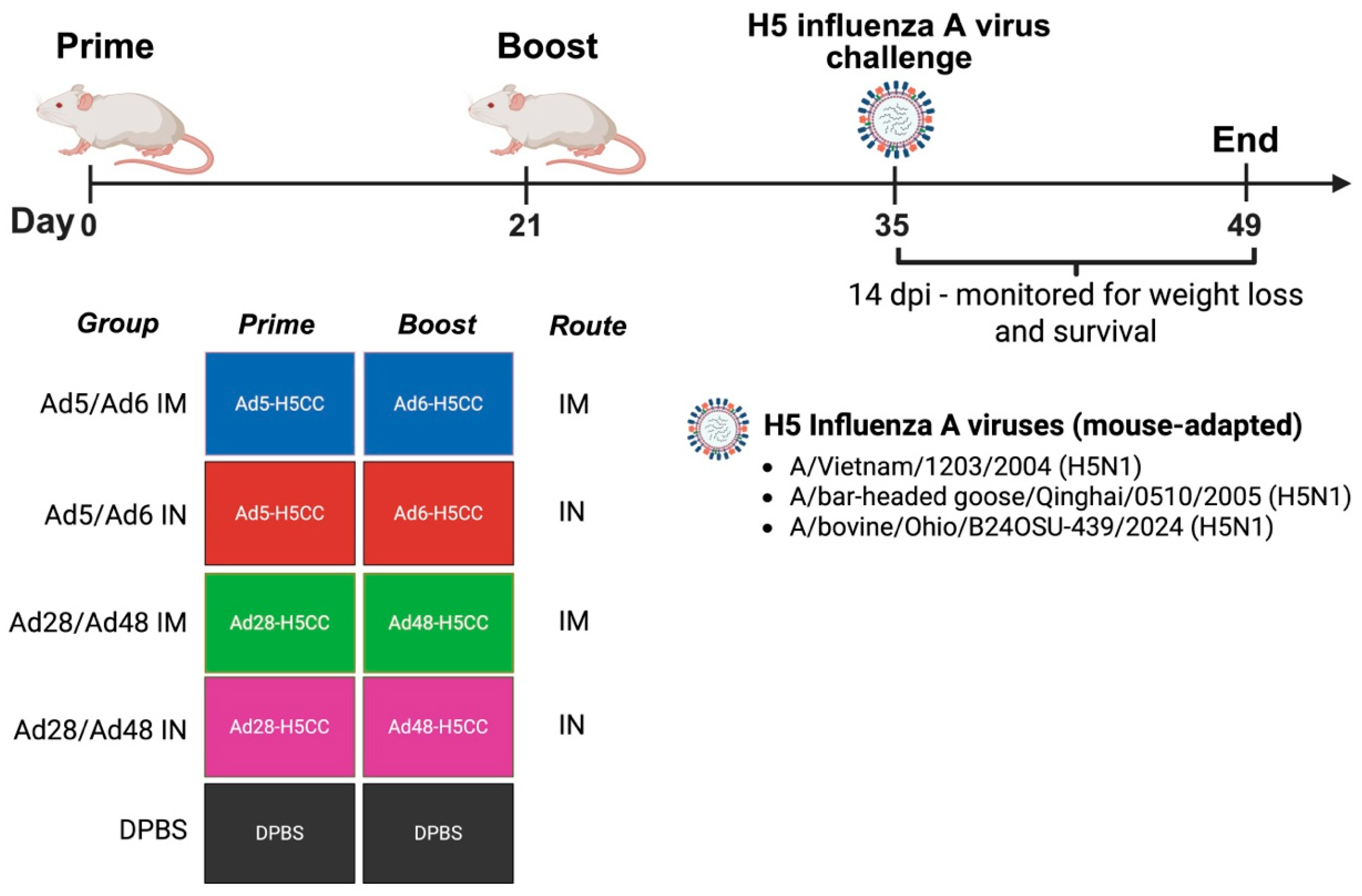 Vaccines 13 00928 g002