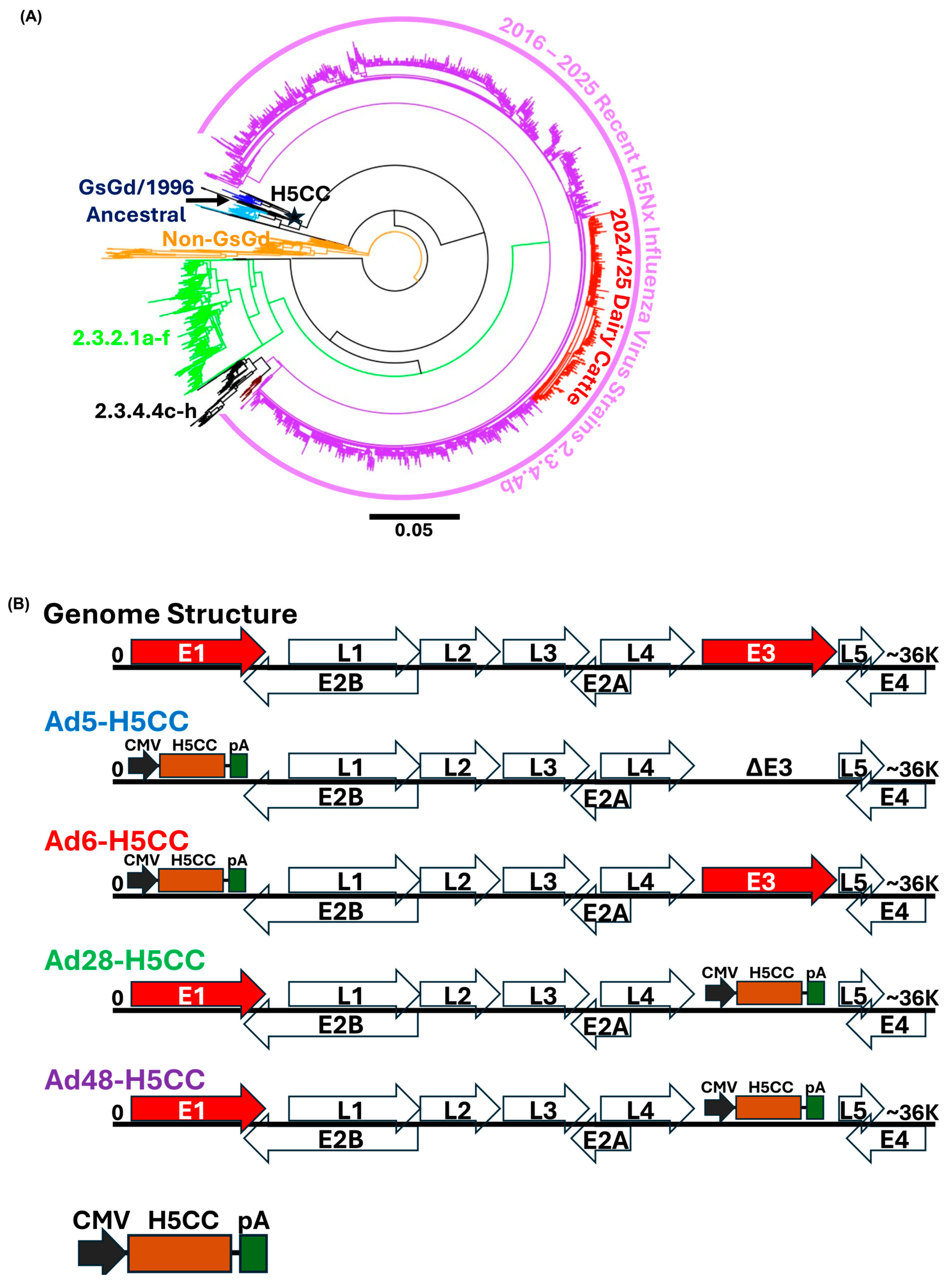 Vaccines 13 00928 g004