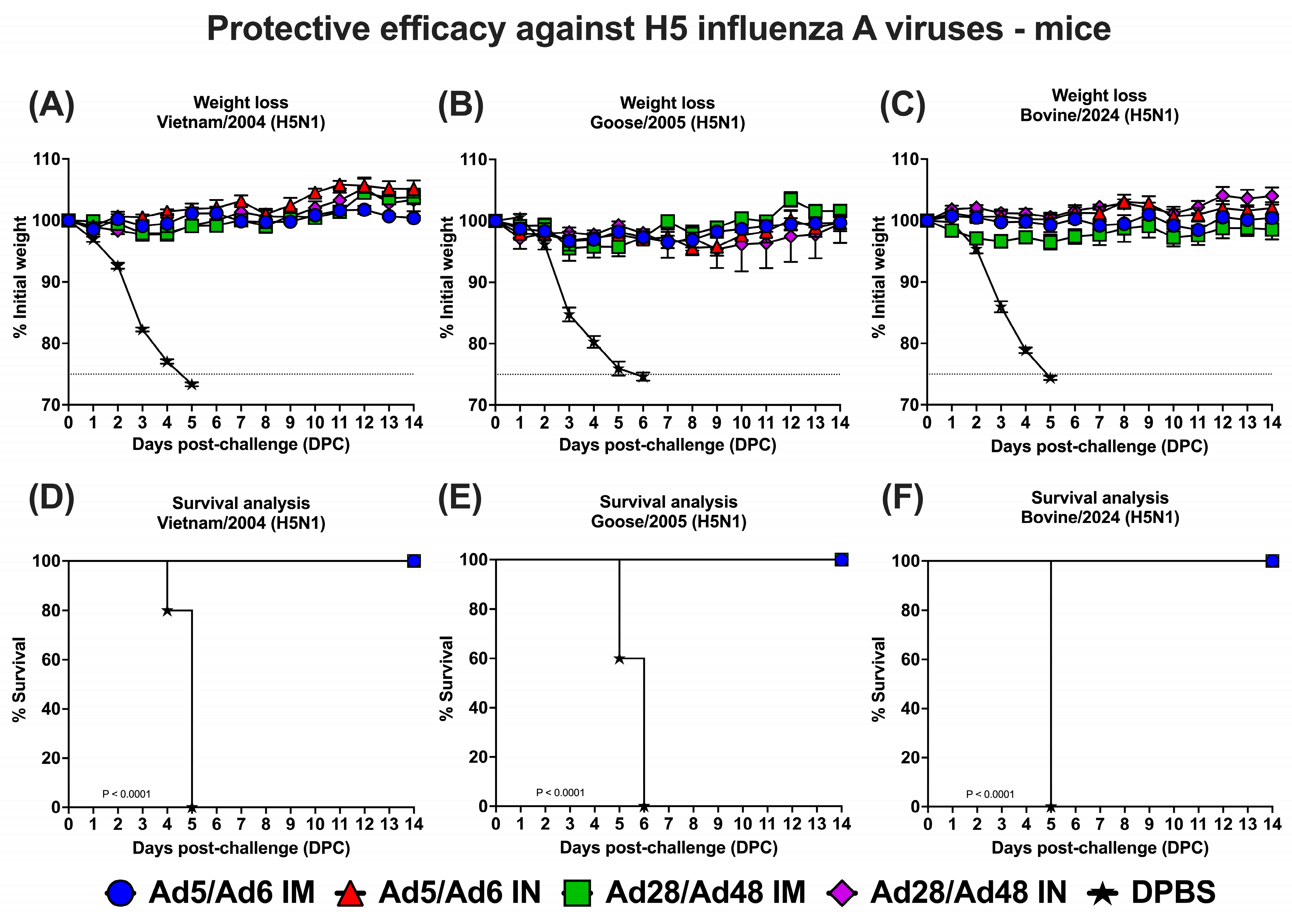 Vaccines 13 00928 g010