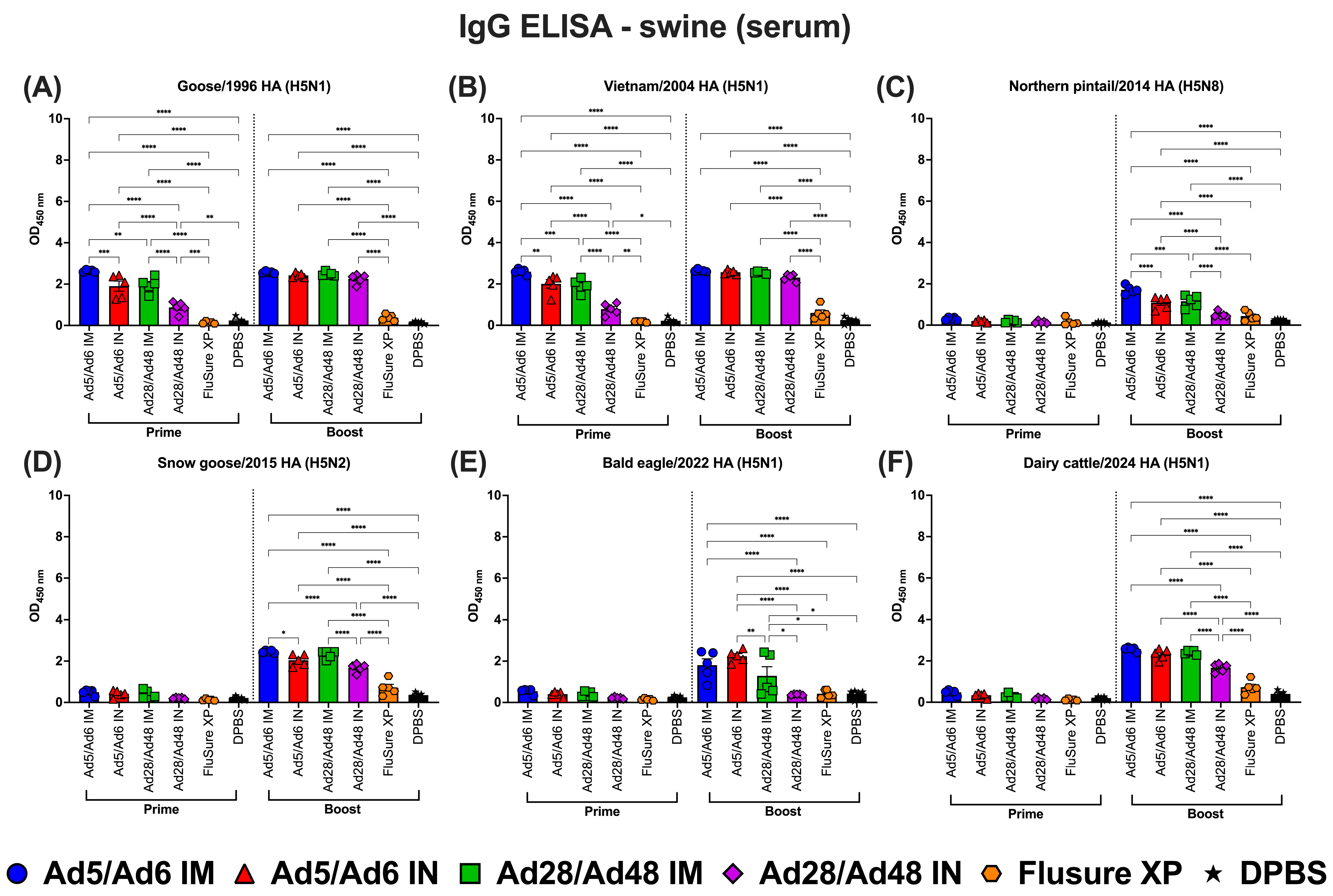 Vaccines 13 00928 g012