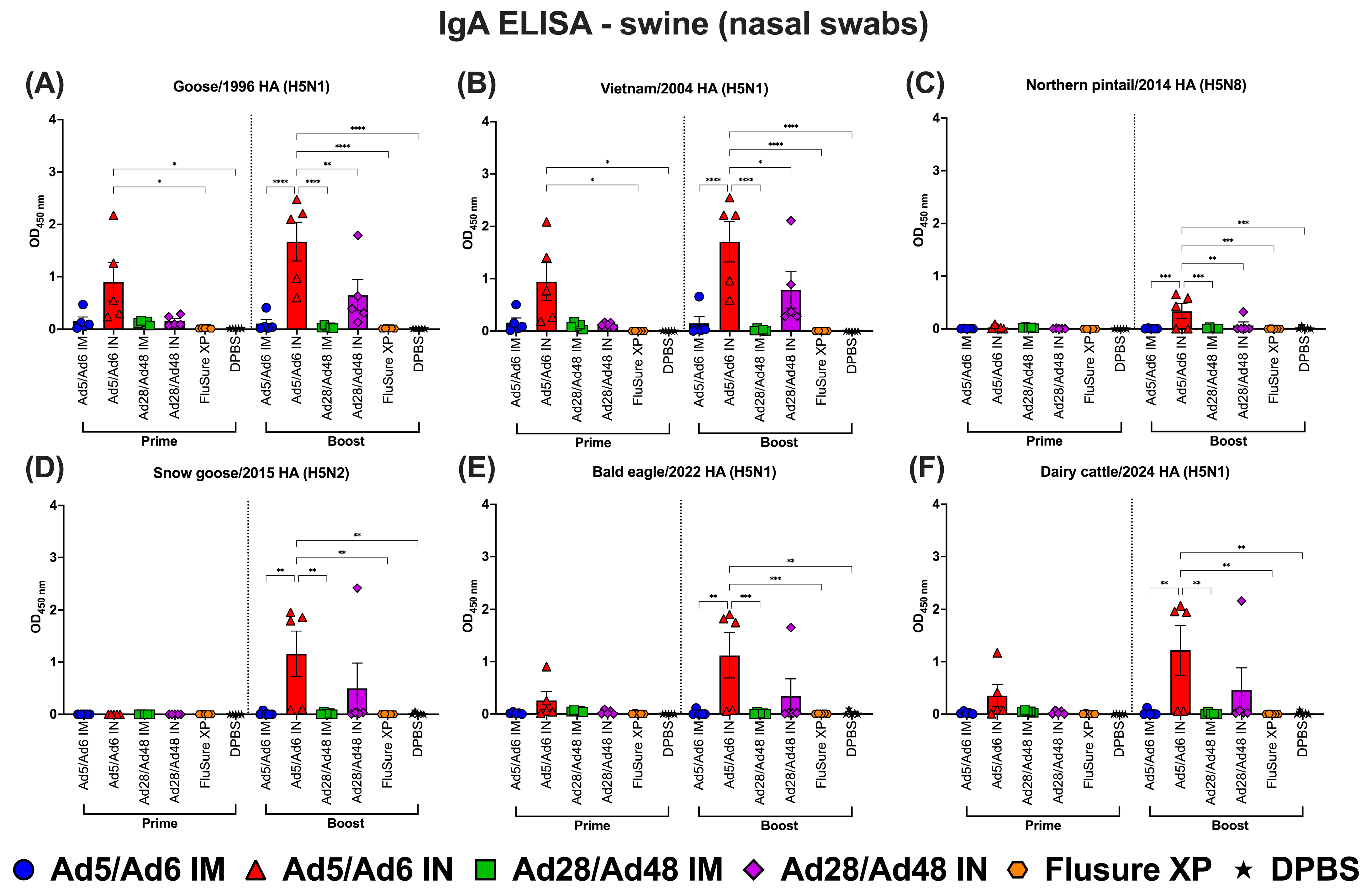 Vaccines 13 00928 g014