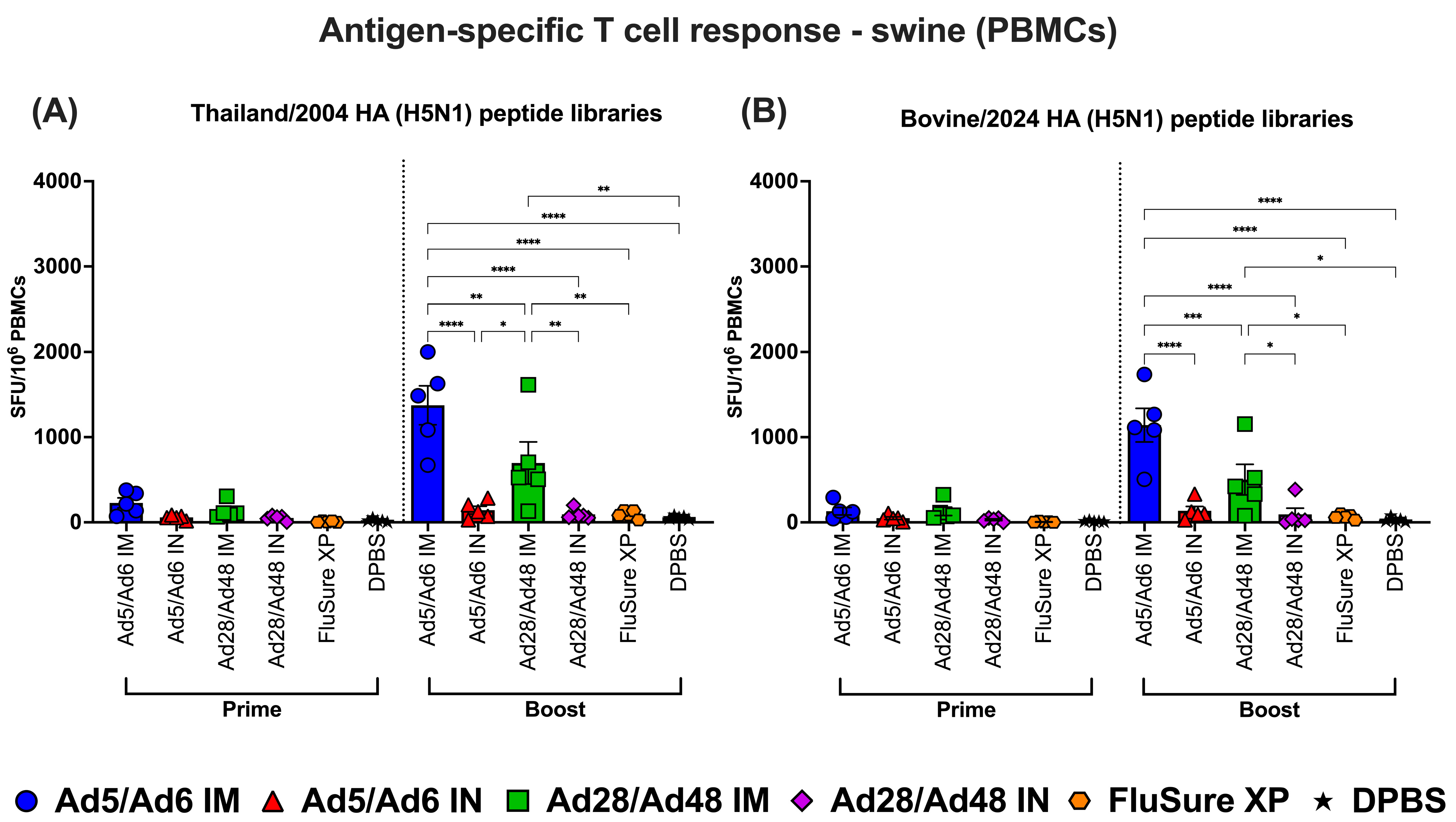Vaccines 13 00928 g015