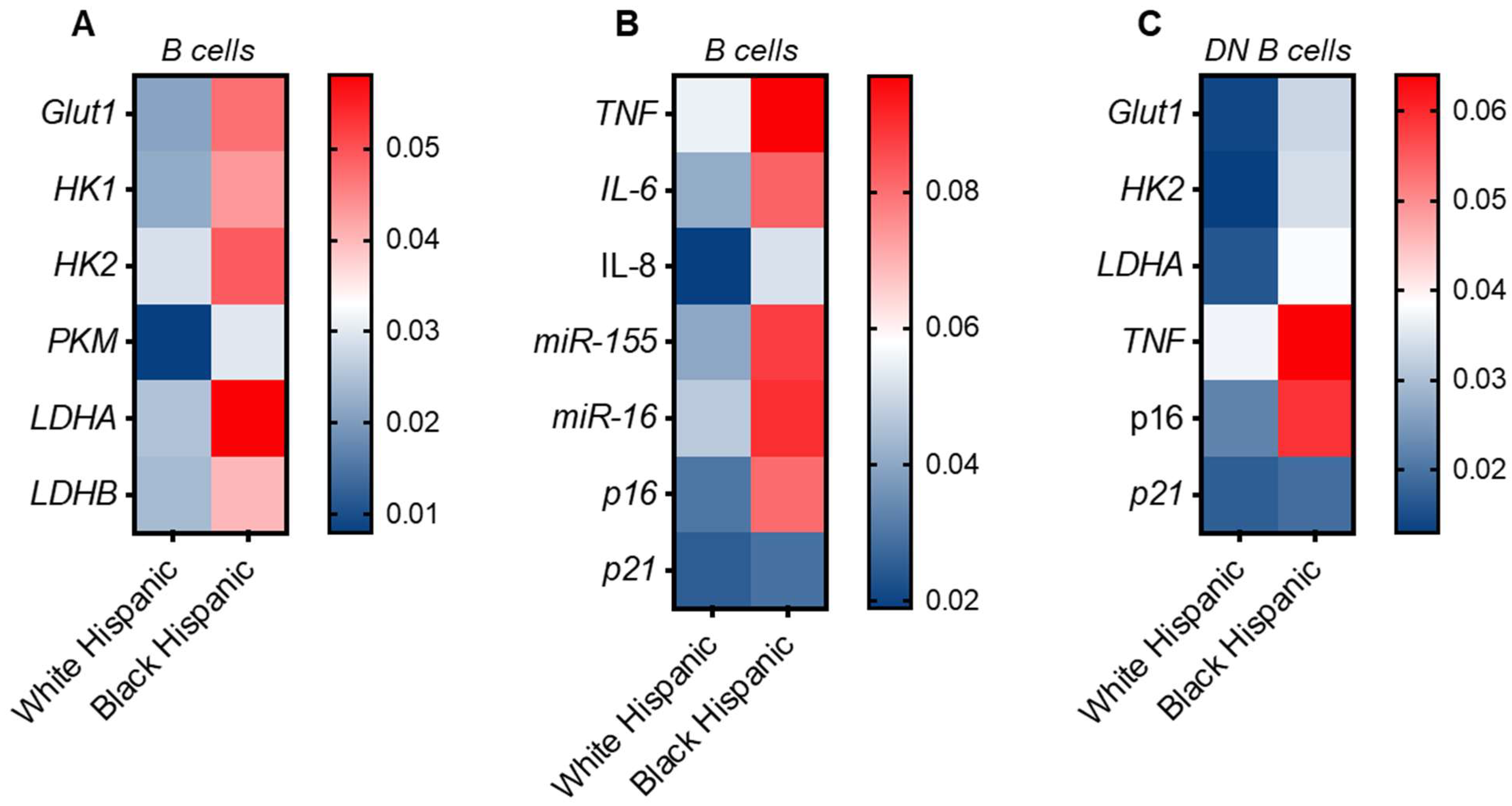 Vaccines 13 00938 g005