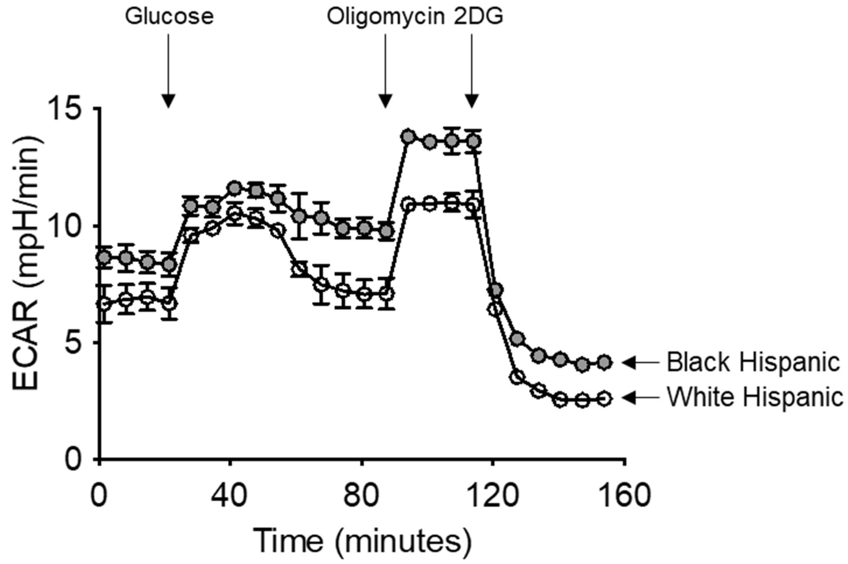 Vaccines 13 00938 g006