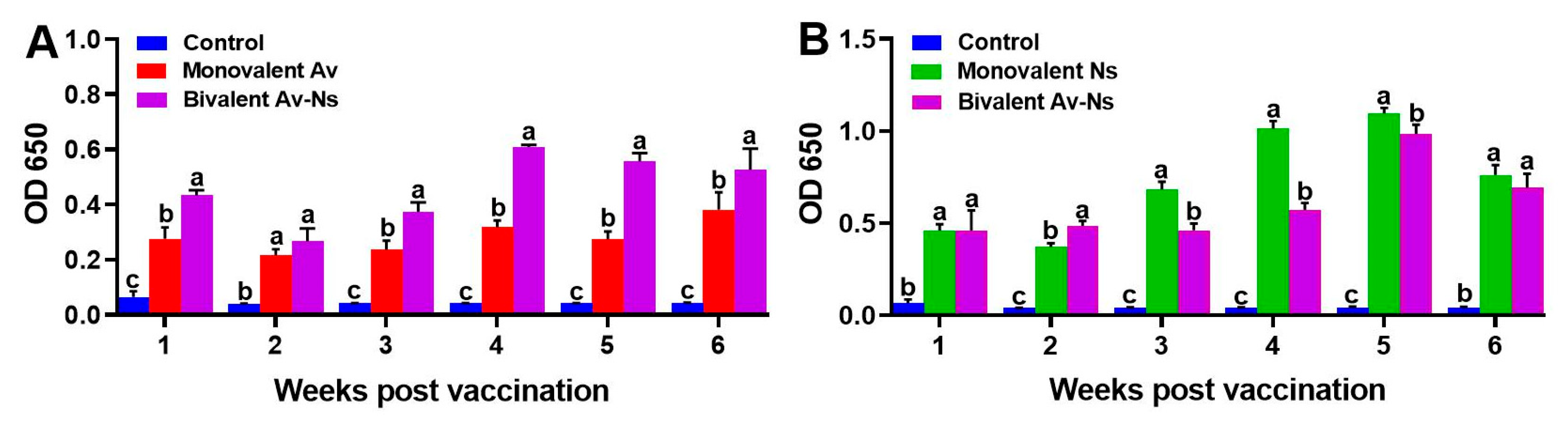 Vaccines 13 00942 g002 Vaccines 13 00942 g002