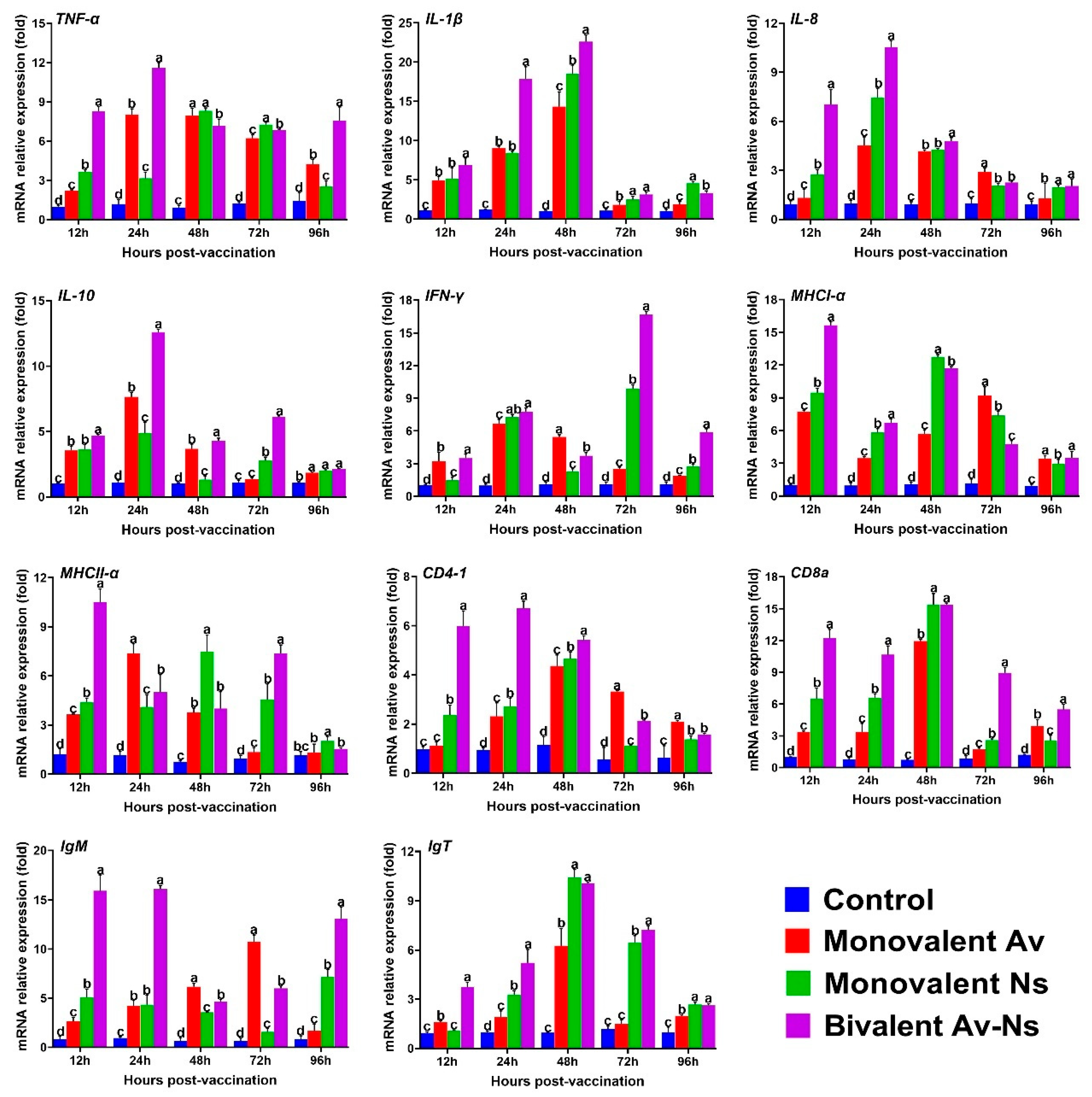 Vaccines 13 00942 g003 Vaccines 13 00942 g003