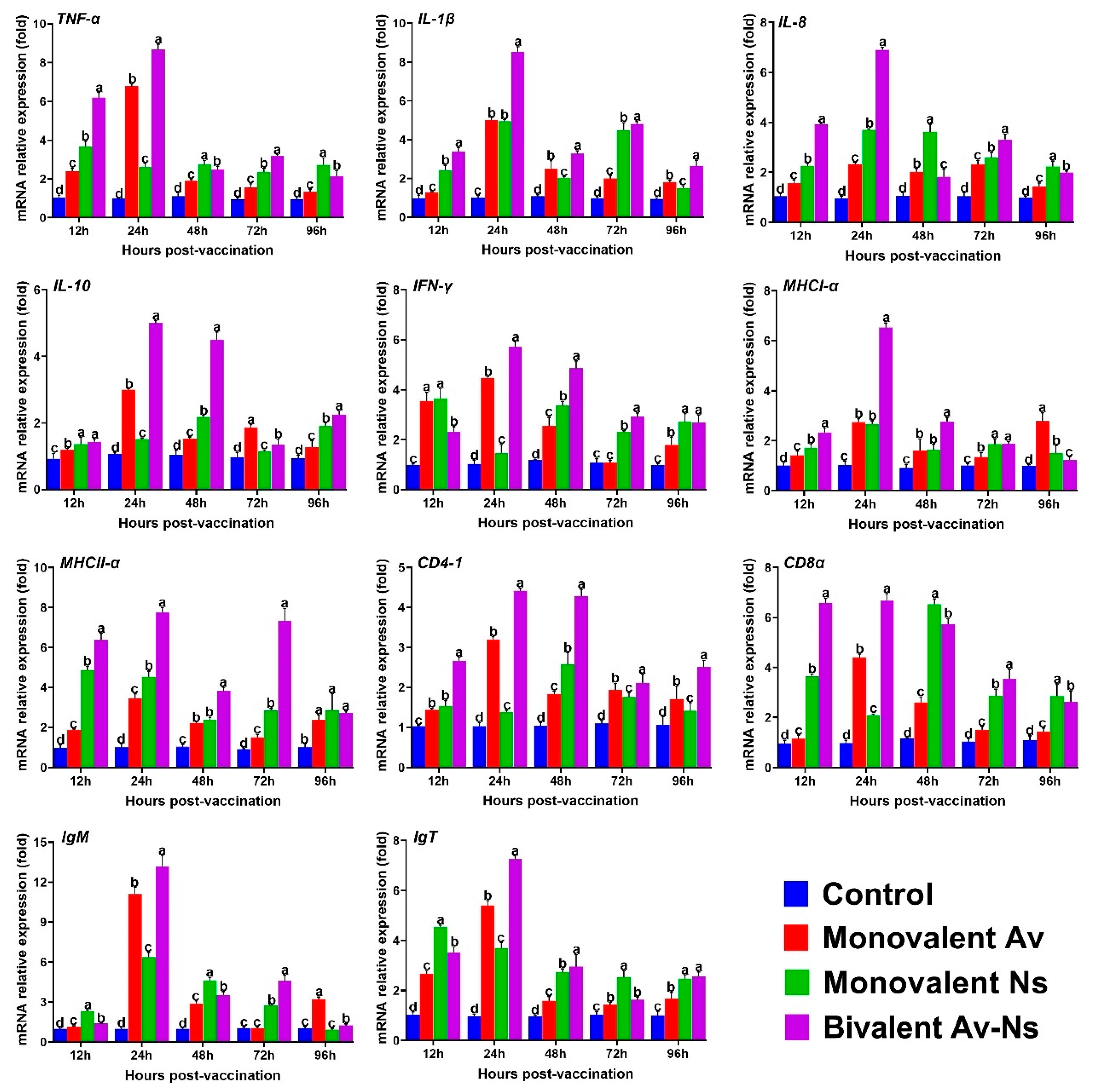 Vaccines 13 00942 g004 Vaccines 13 00942 g004