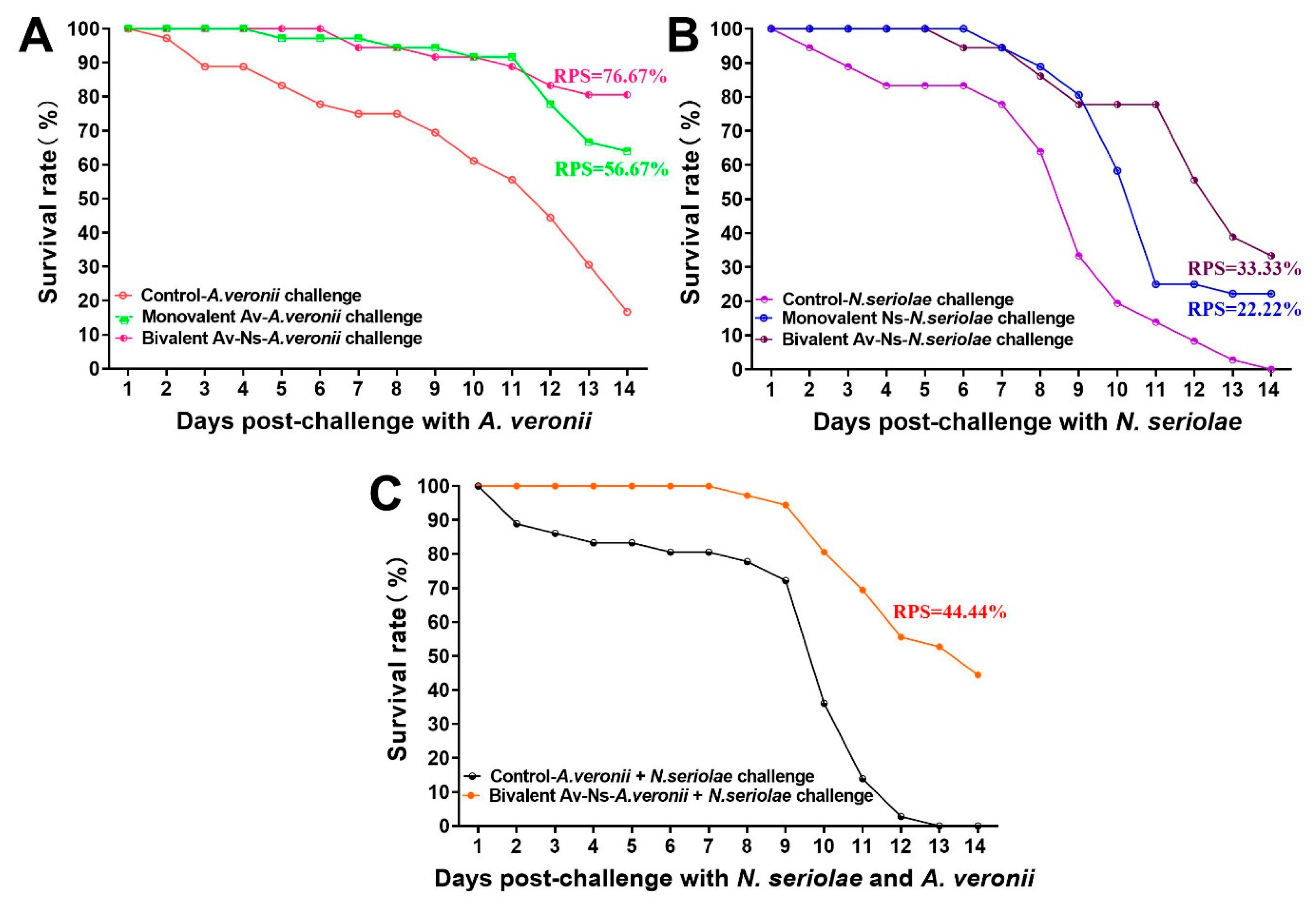 Vaccines 13 00942 g005 Vaccines 13 00942 g005