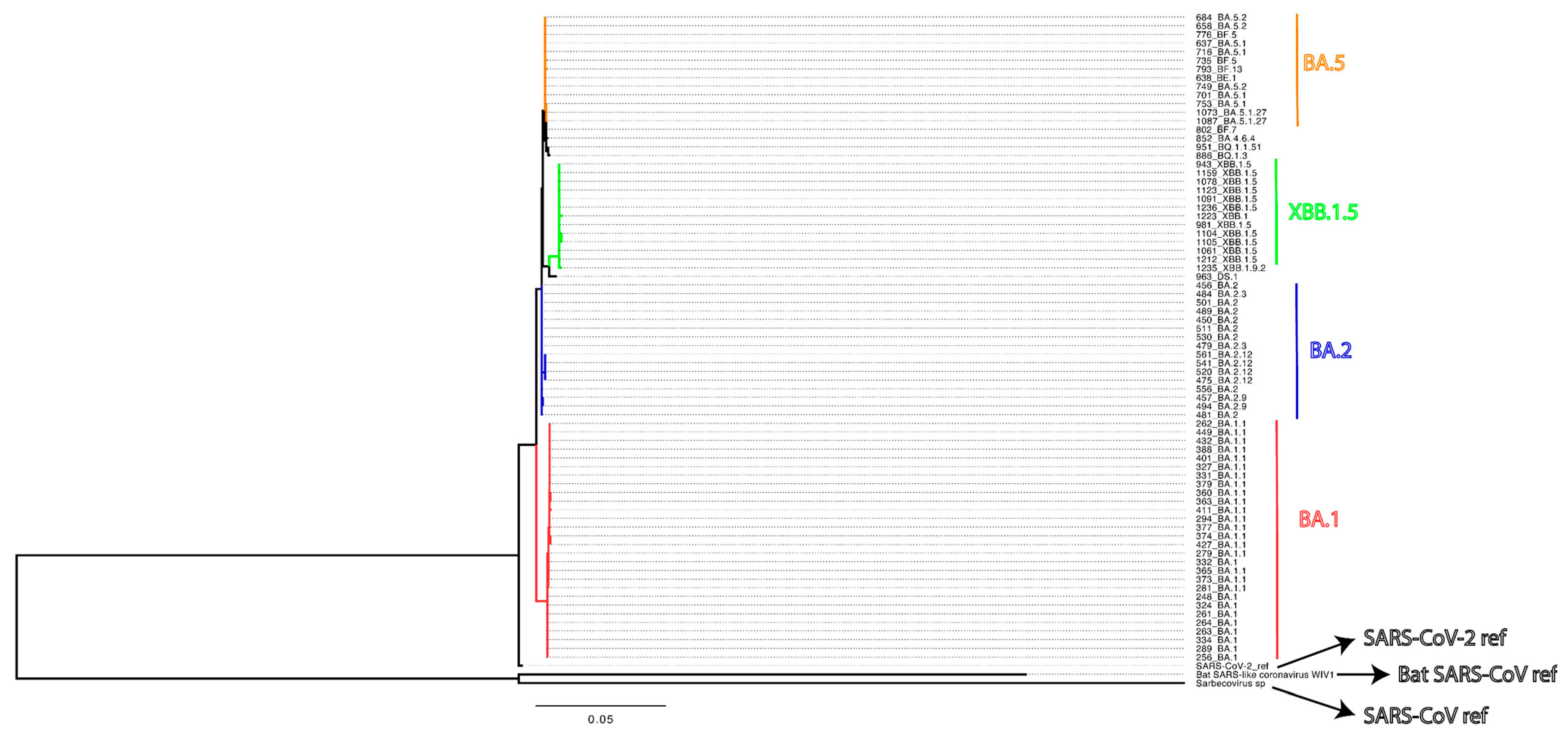 Vaccines 13 00949 g001