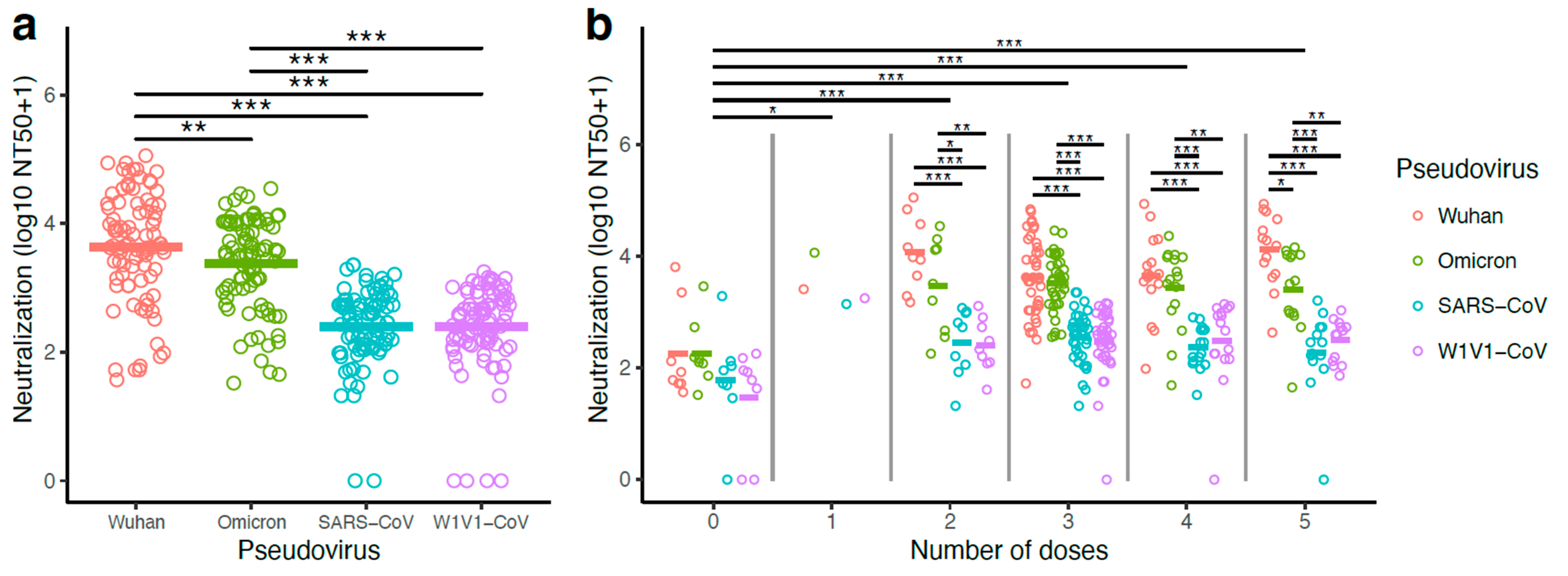 Vaccines 13 00949 g003