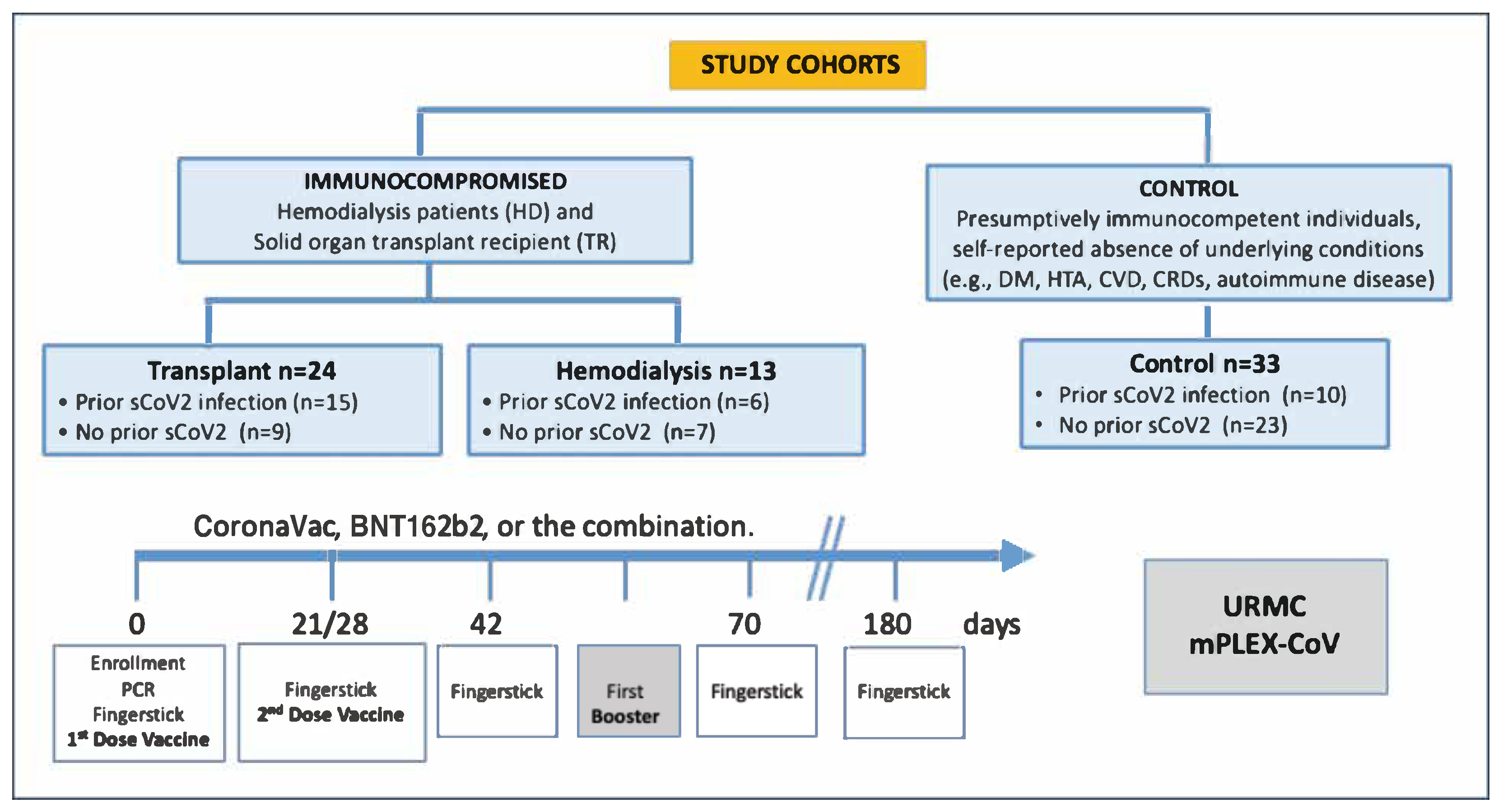 Vaccines 13 00965 g001 Vaccines 13 00965 g001