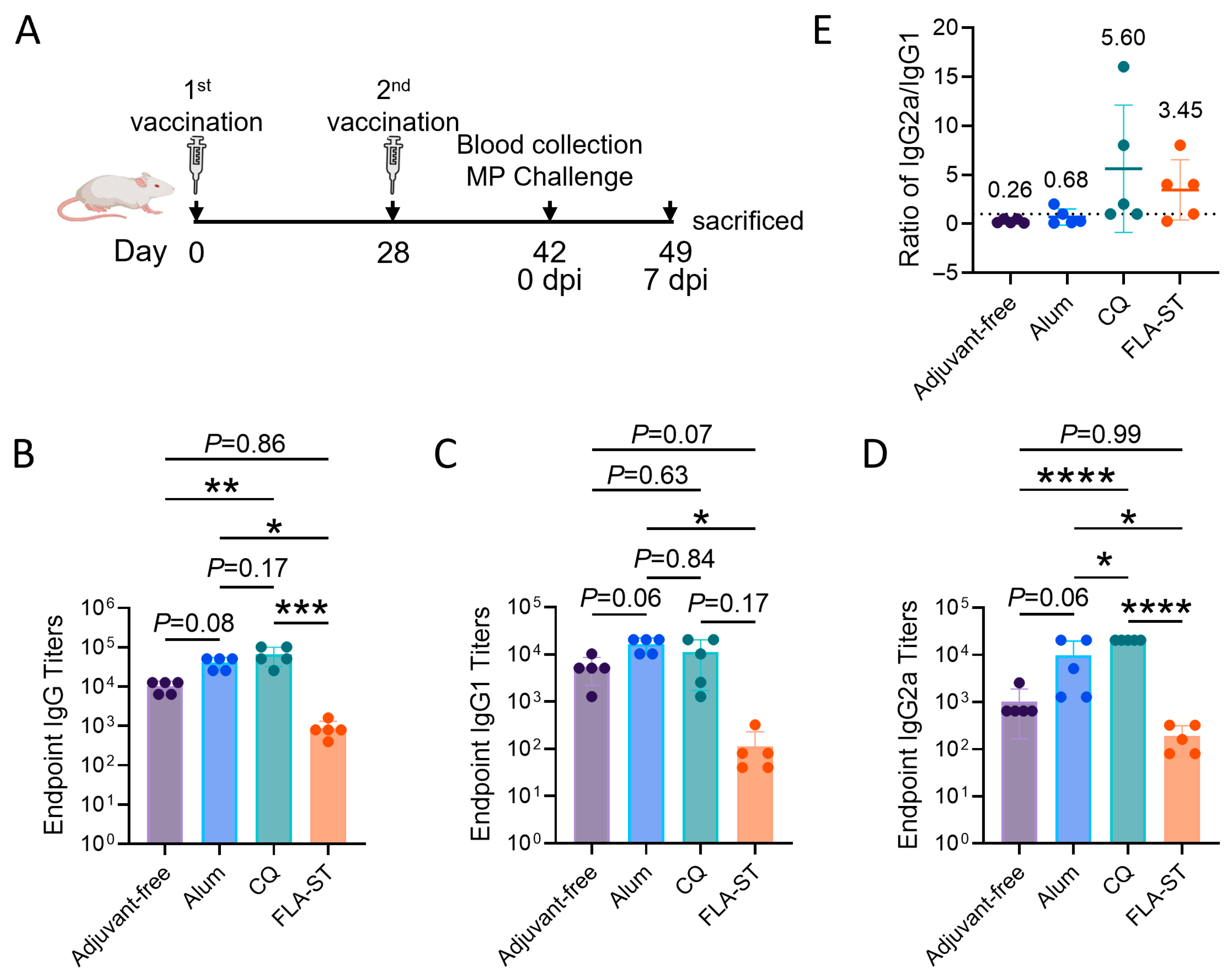 Vaccines 13 00968 g001