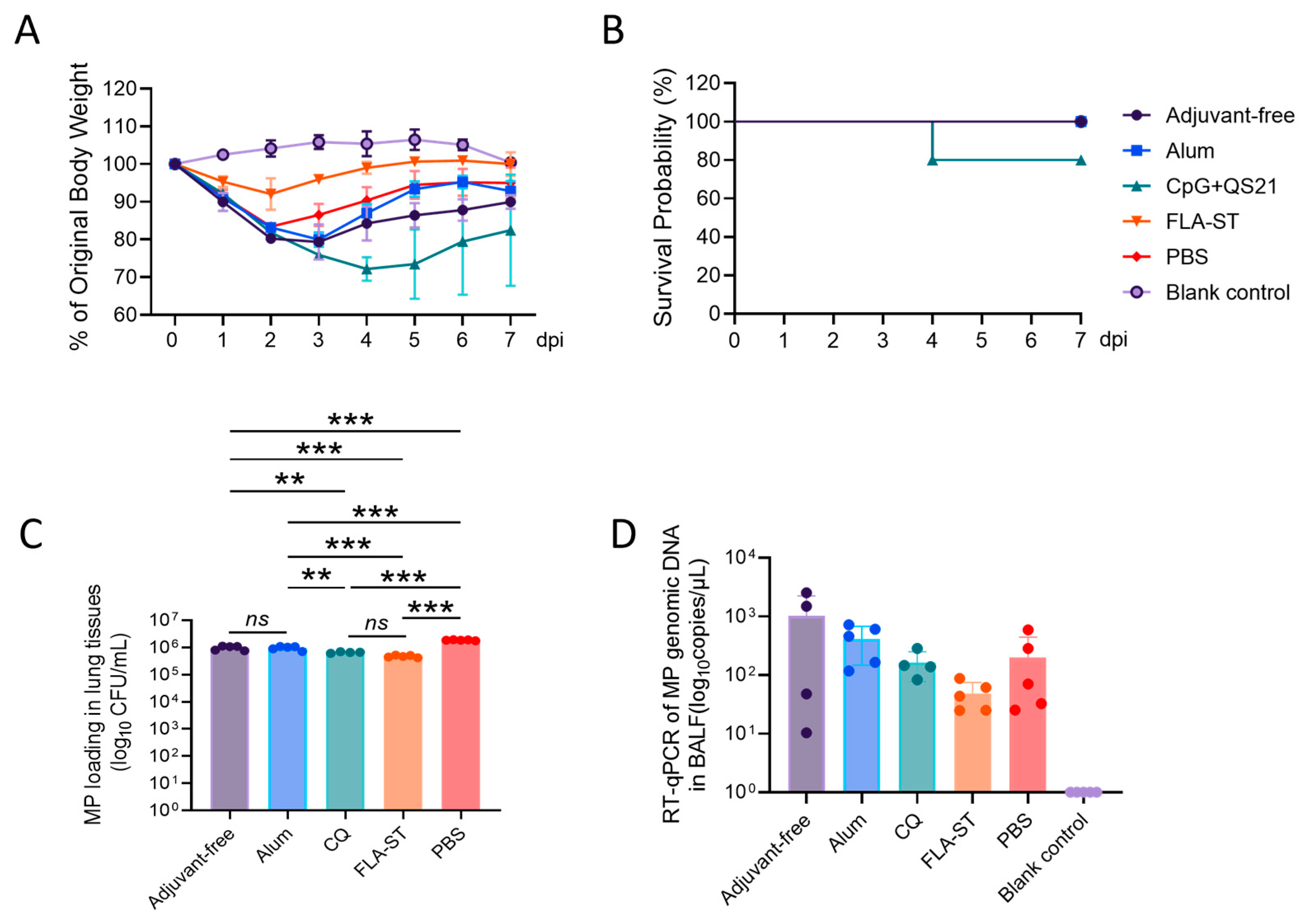 Vaccines 13 00968 g002